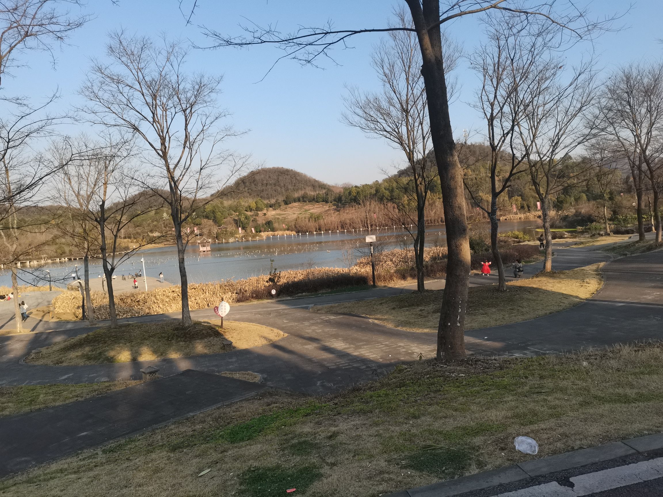 播州区播雅湿地公园旅行图片 3