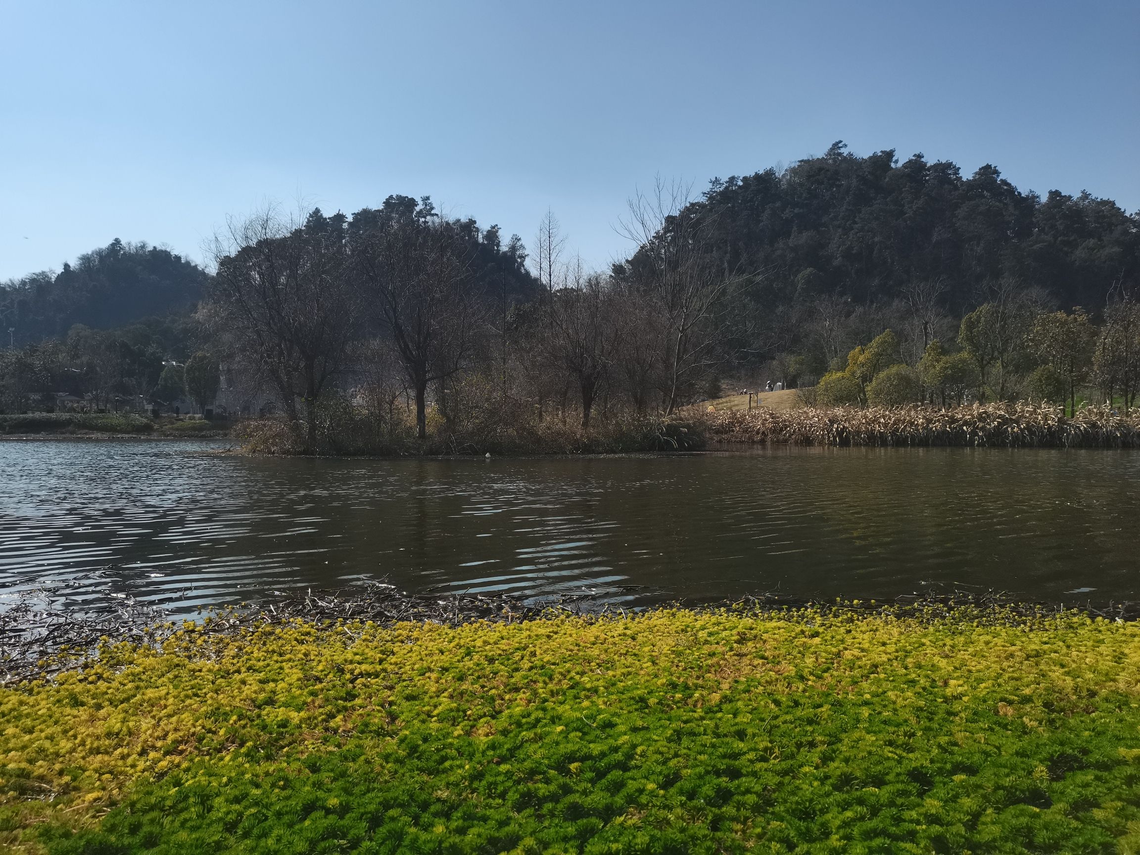 播州区播雅湿地公园旅行图片 1