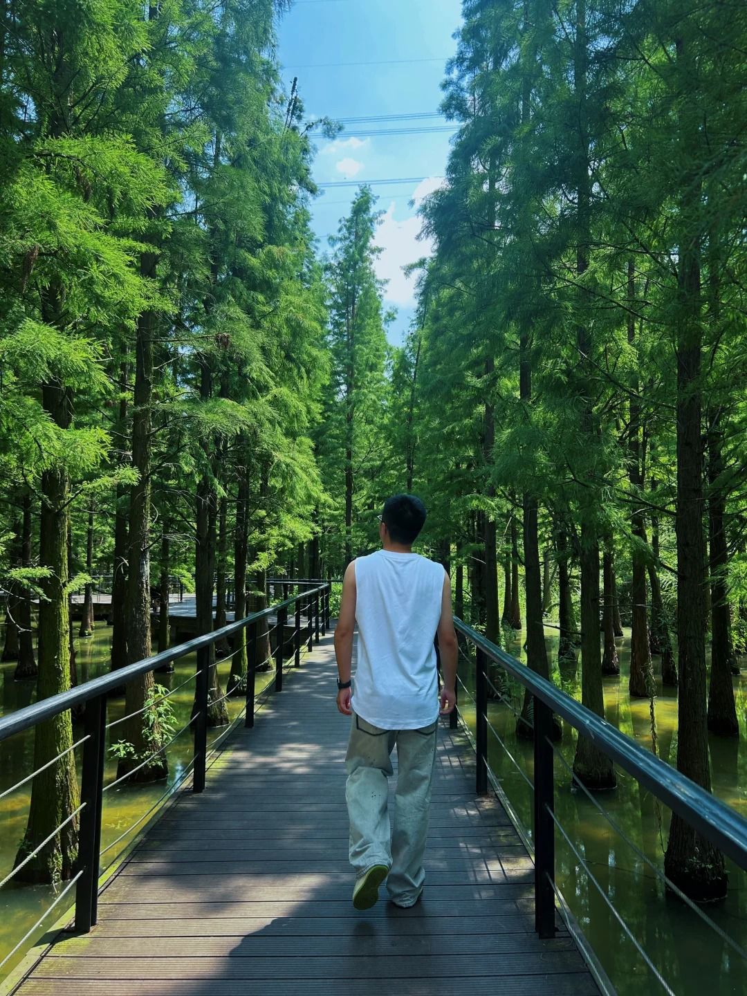播州区播雅湿地公园旅行图片 3