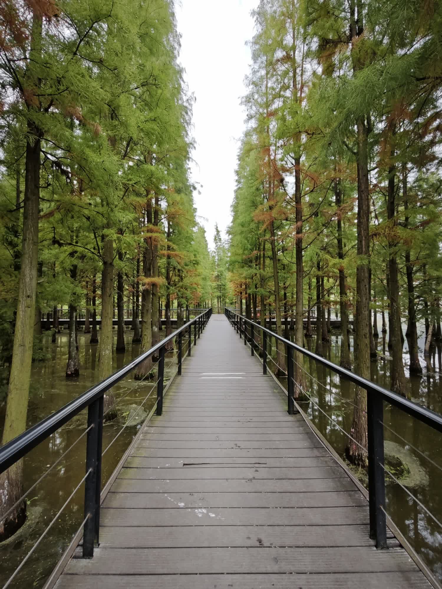 播州区播雅湿地公园旅行图片 1