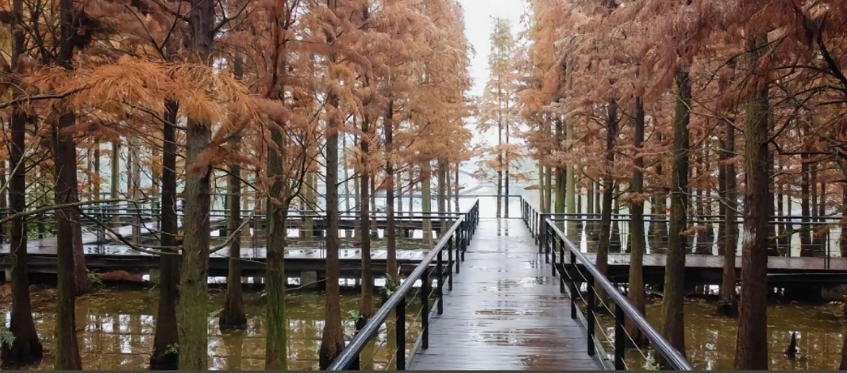 播州区播雅湿地公园旅行图片 3