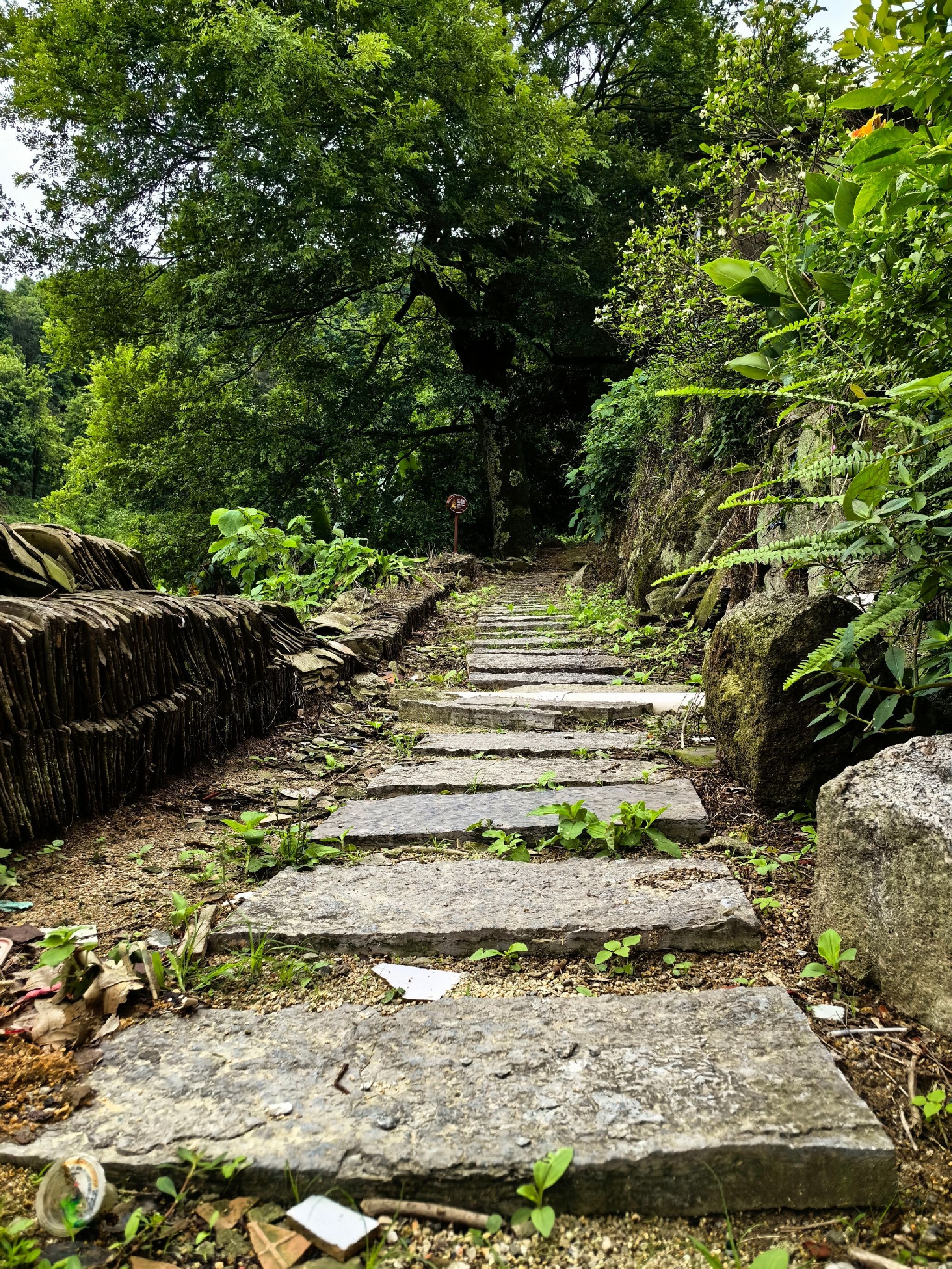 鼓鸣寨旅行图片 1