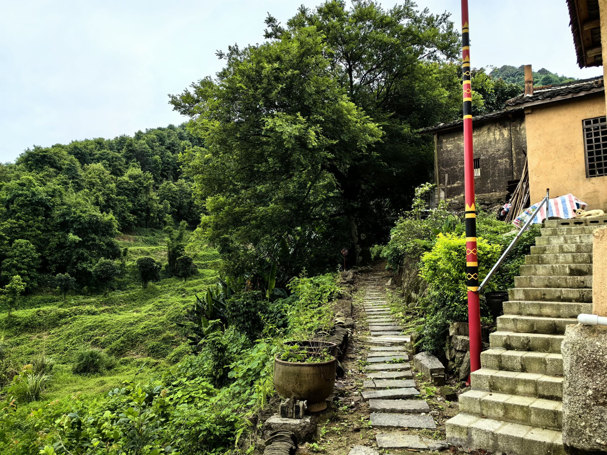鼓鸣寨旅行图片 3