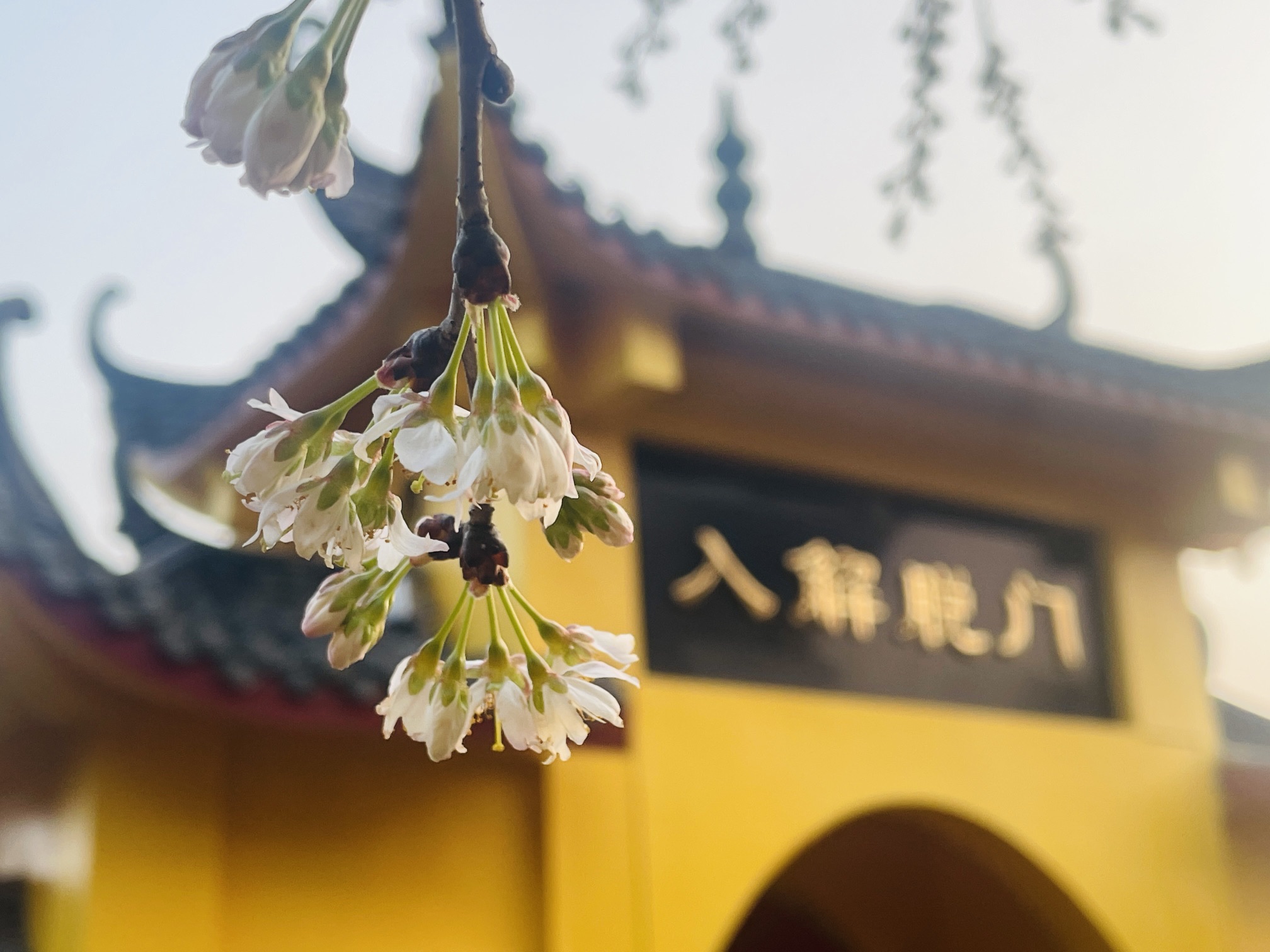 万德寺实景照片