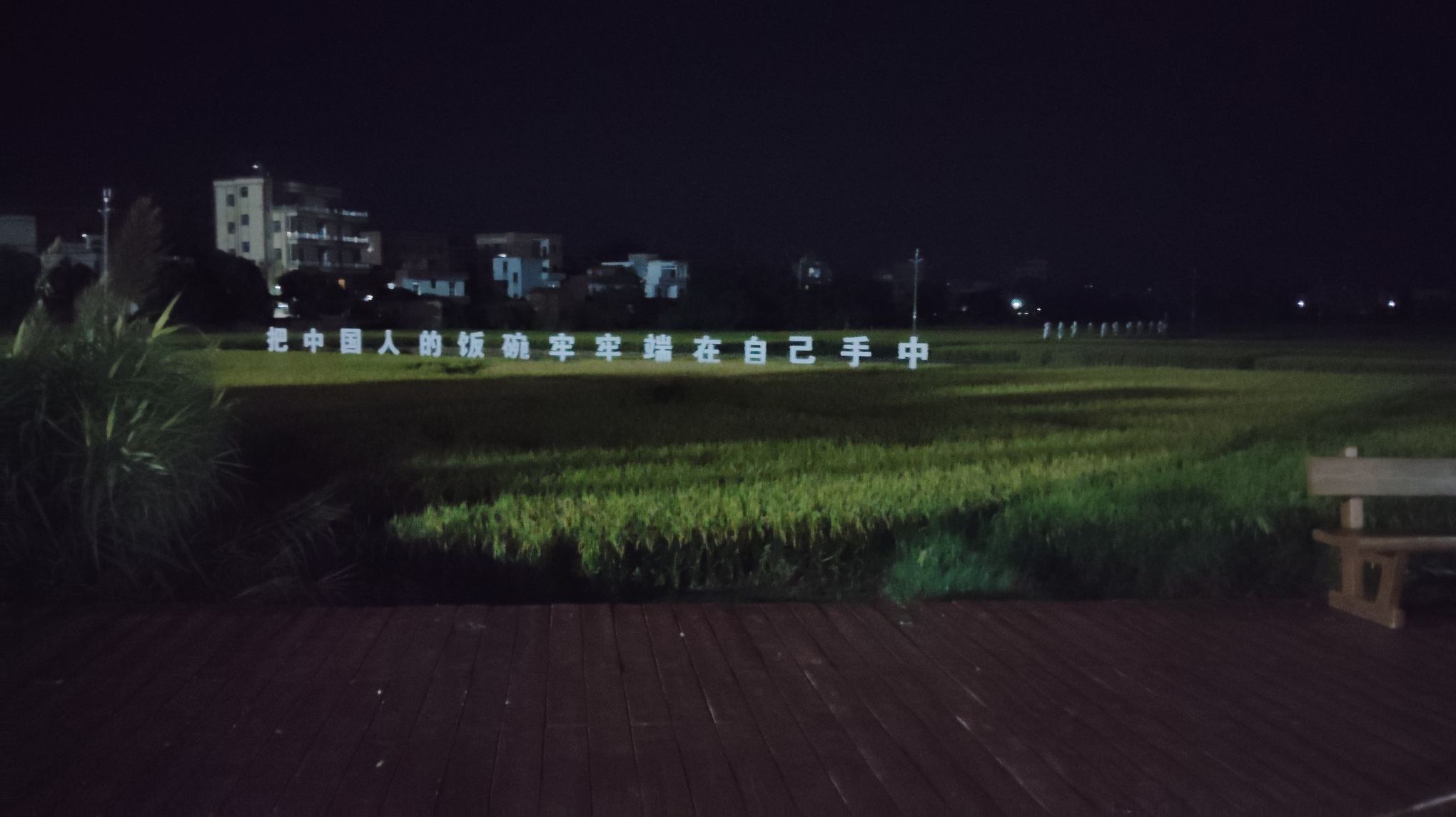 飞马桥头广场旅行图片 1