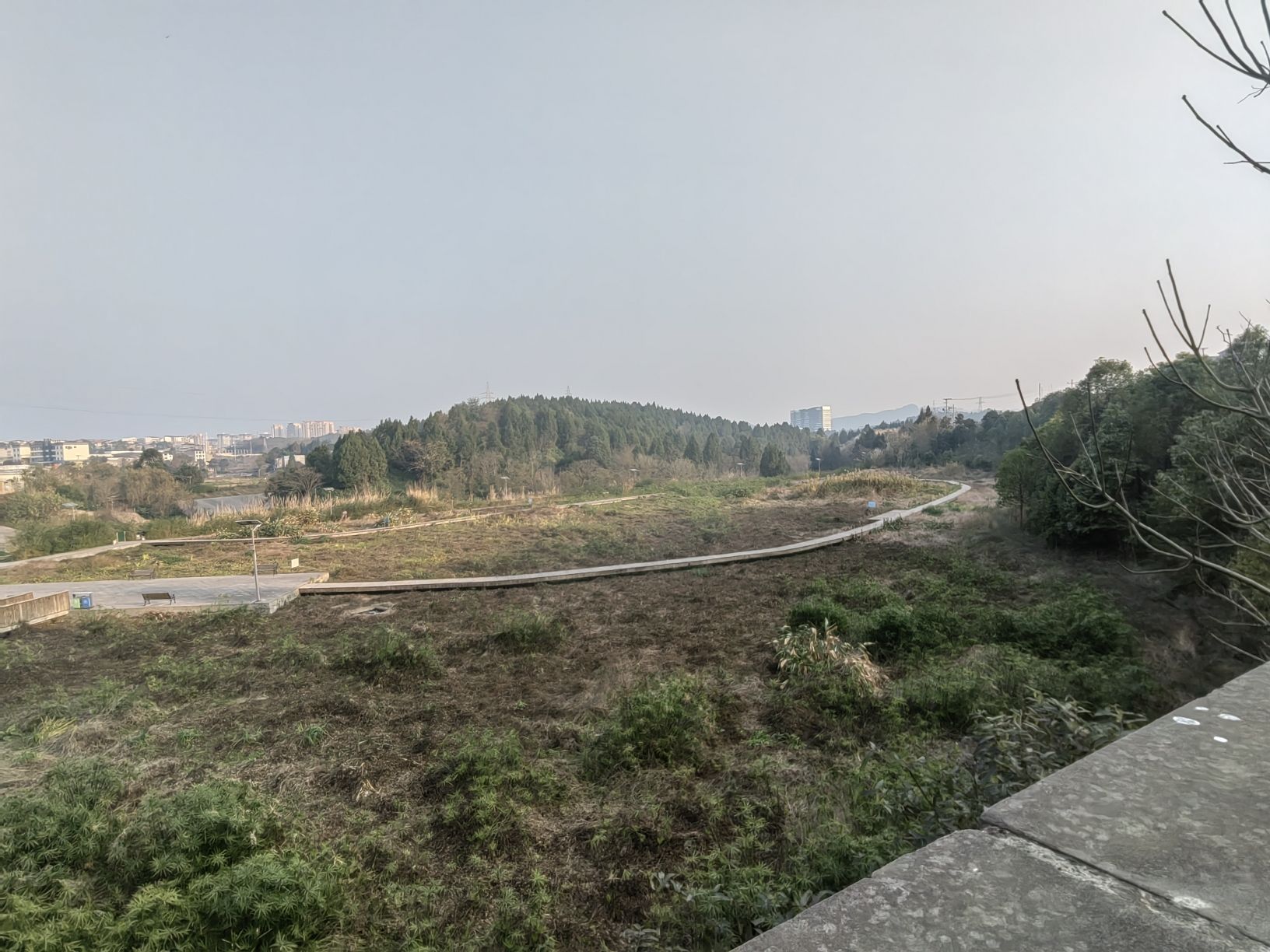 西充县城南湿地公园旅行图片 1