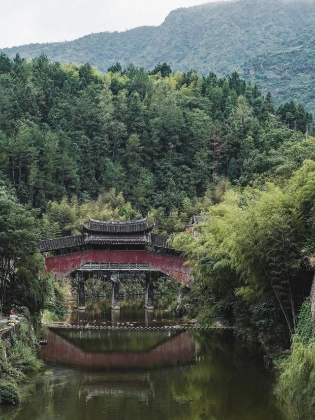 浙江泰顺玉龙山景区旅行图片 1