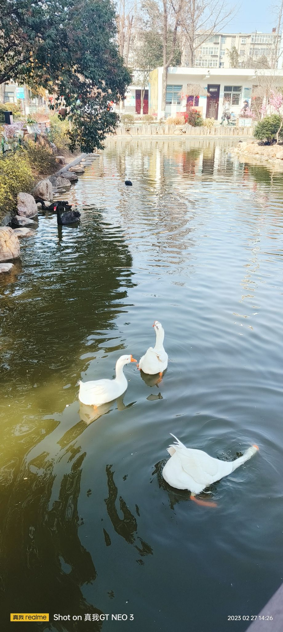 河滨公园