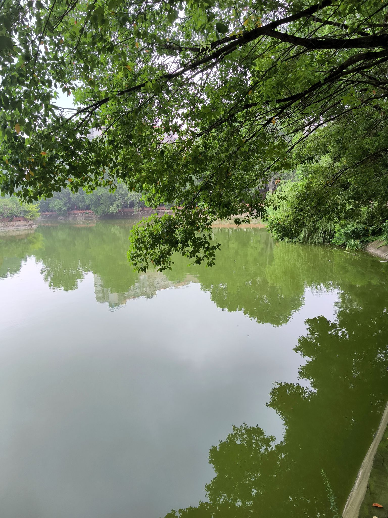 河滨公园旅行图片 3