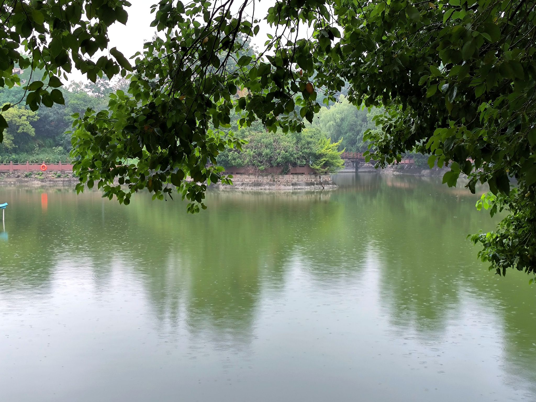 河滨公园旅行图片 1