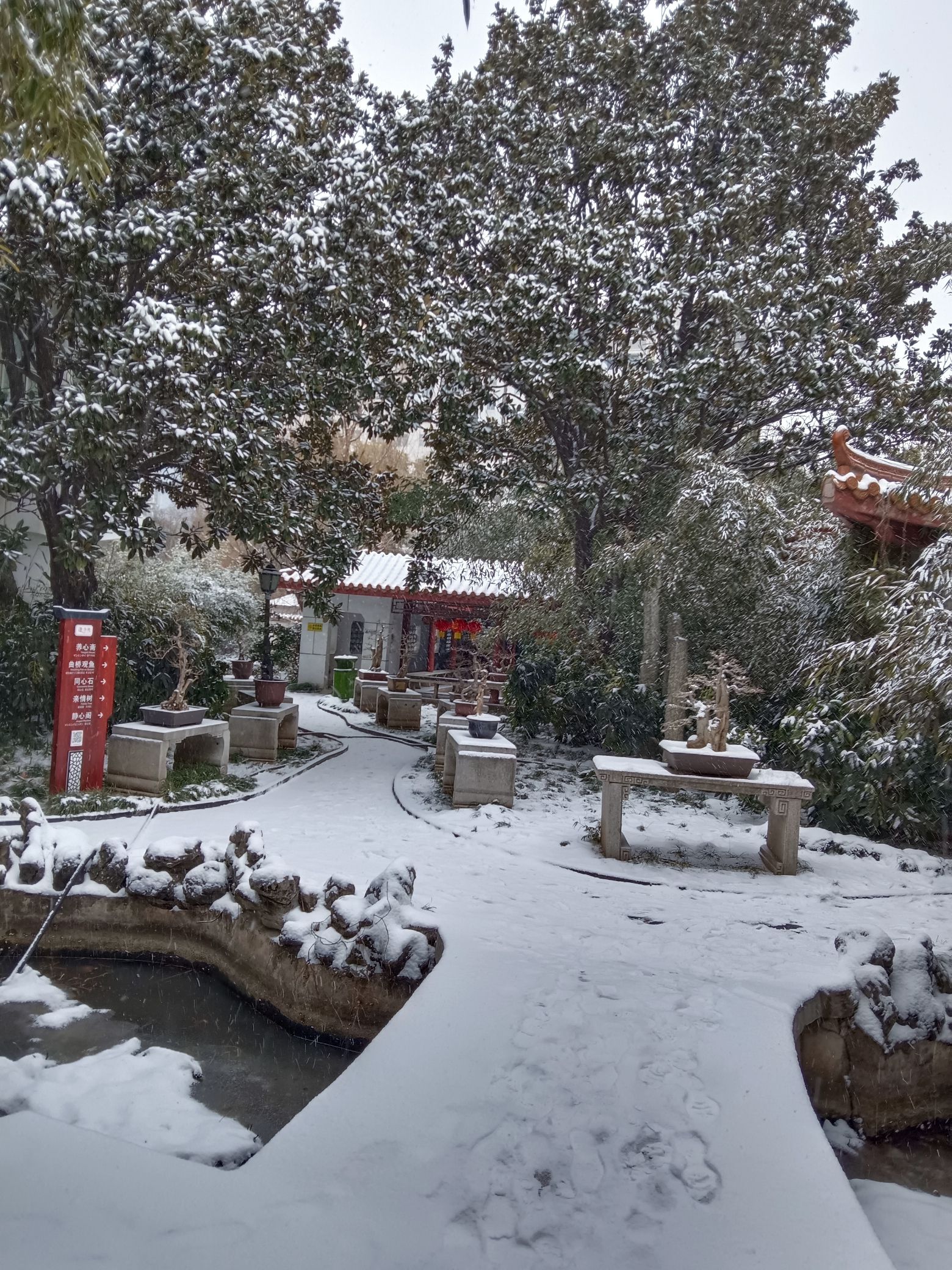 河滨公园旅行图片 3