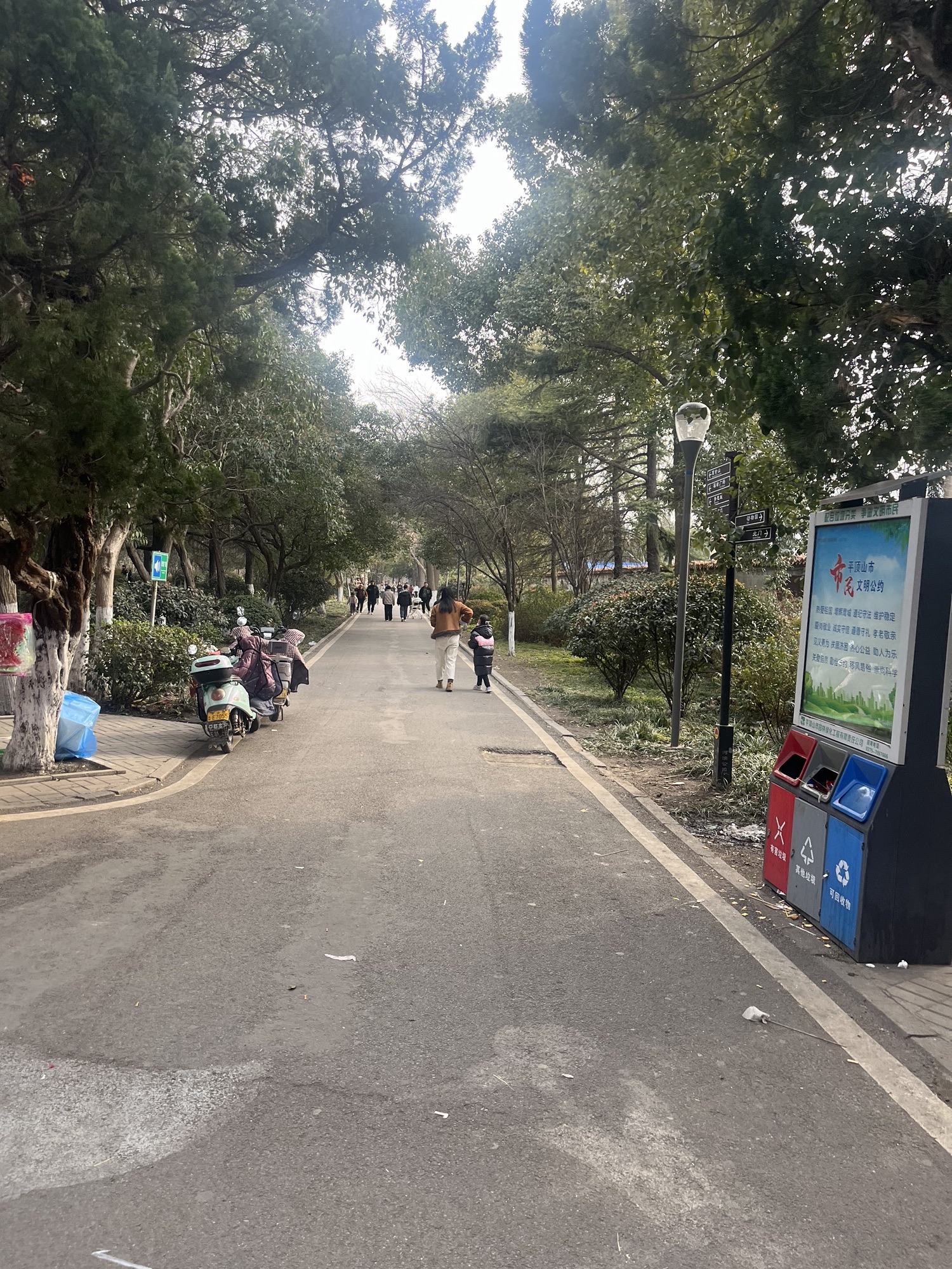 河滨公园旅行图片 1