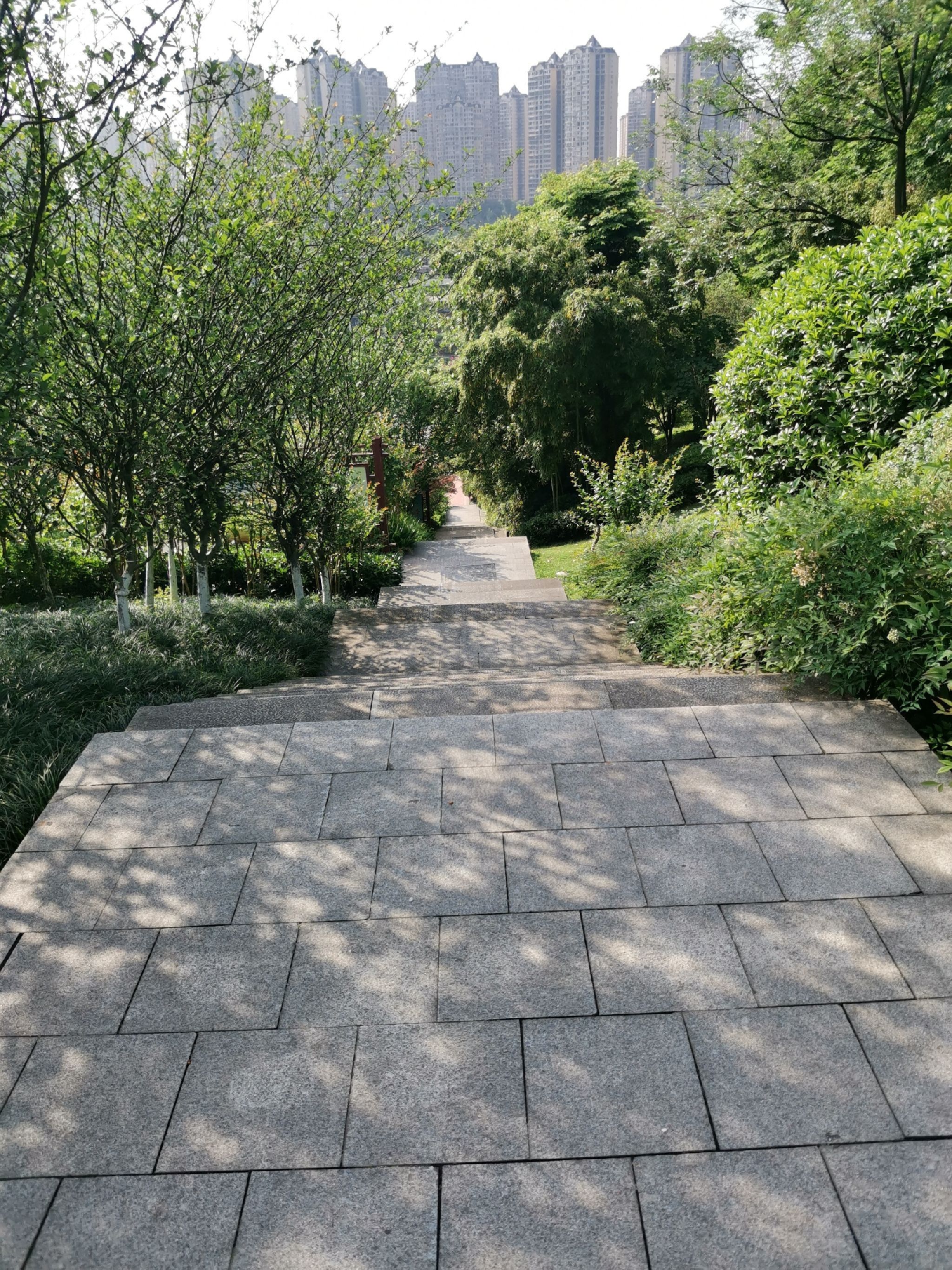 羊大山公园旅行图片 1