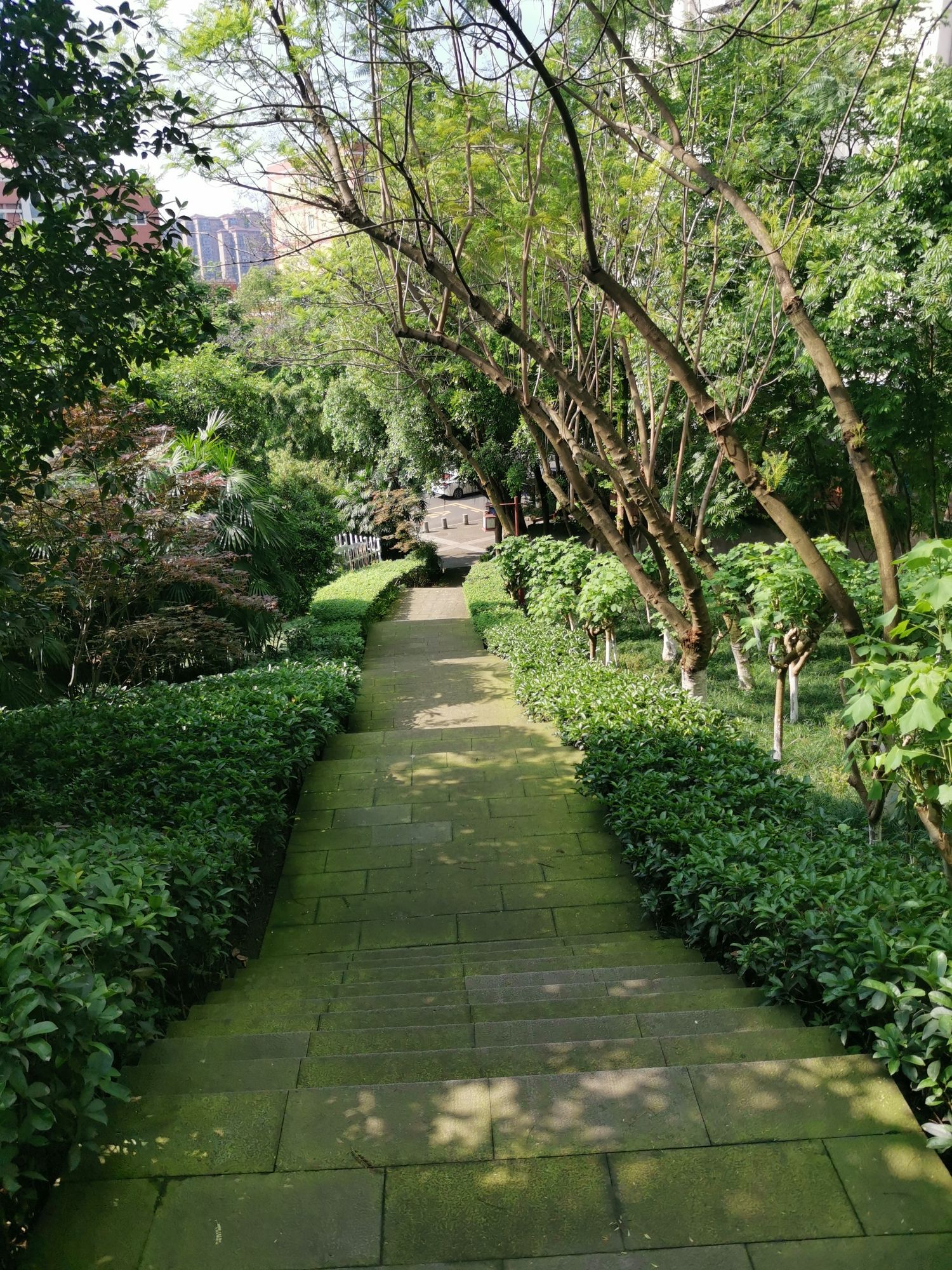 羊大山公园旅行图片 2