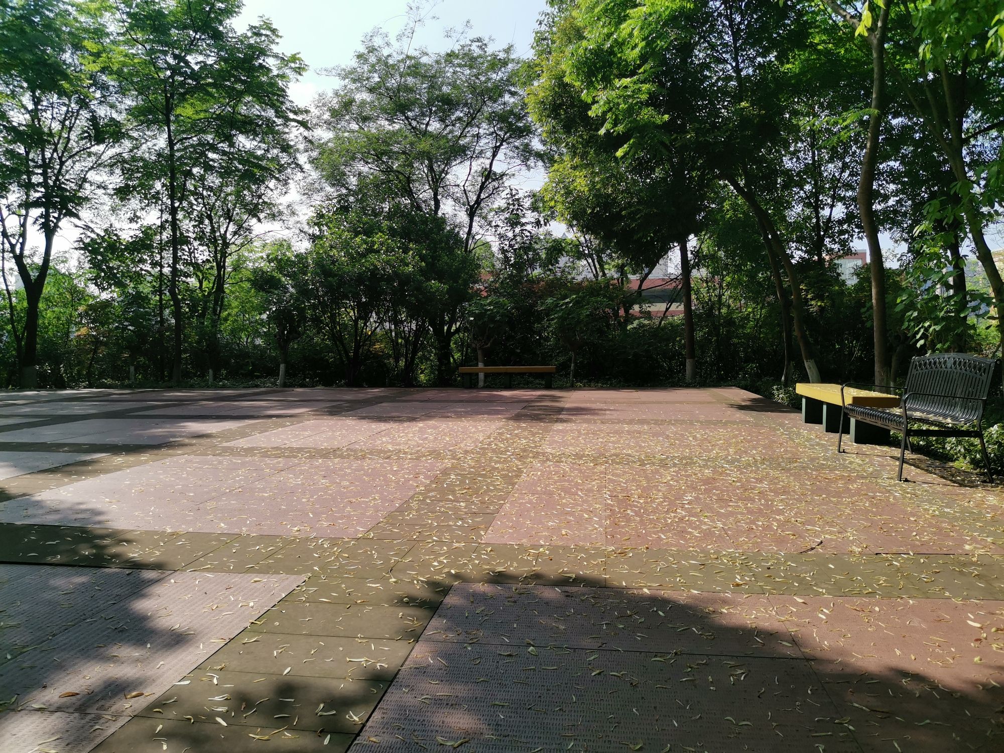 羊大山公园旅行图片 3