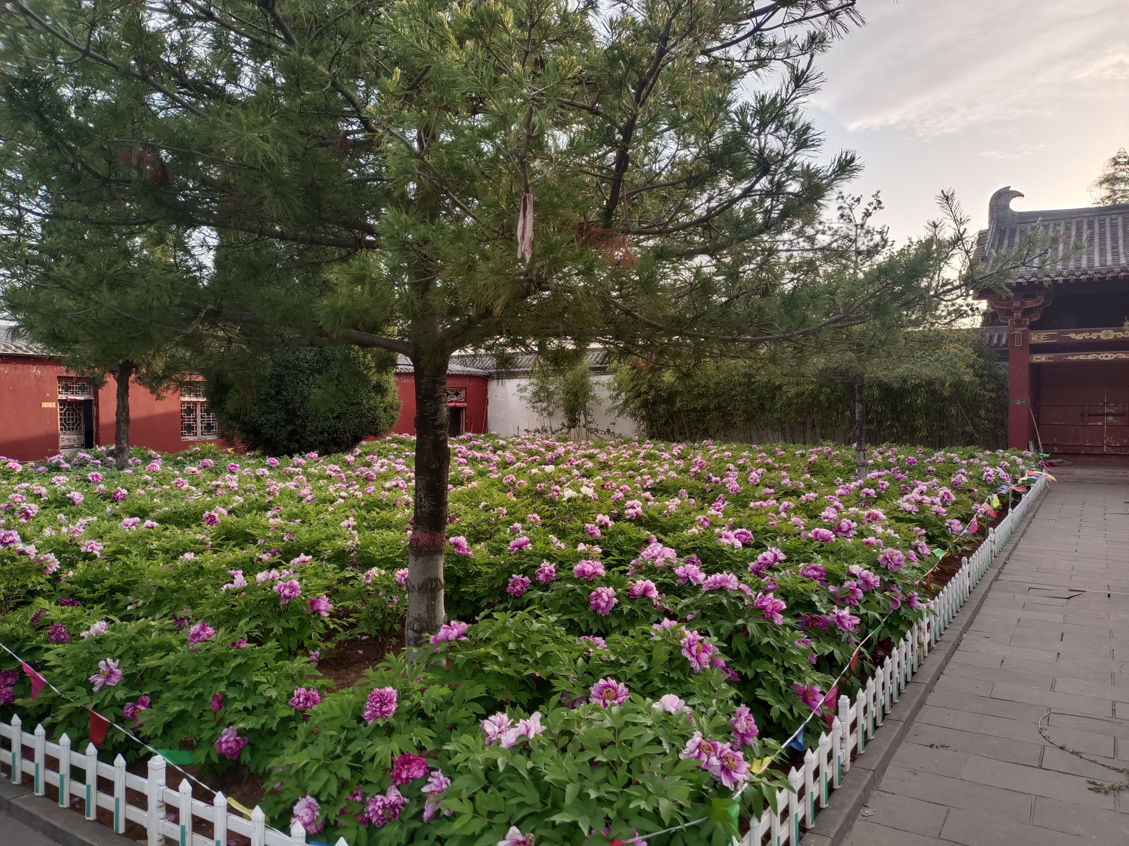 海子河公园旅行图片 2