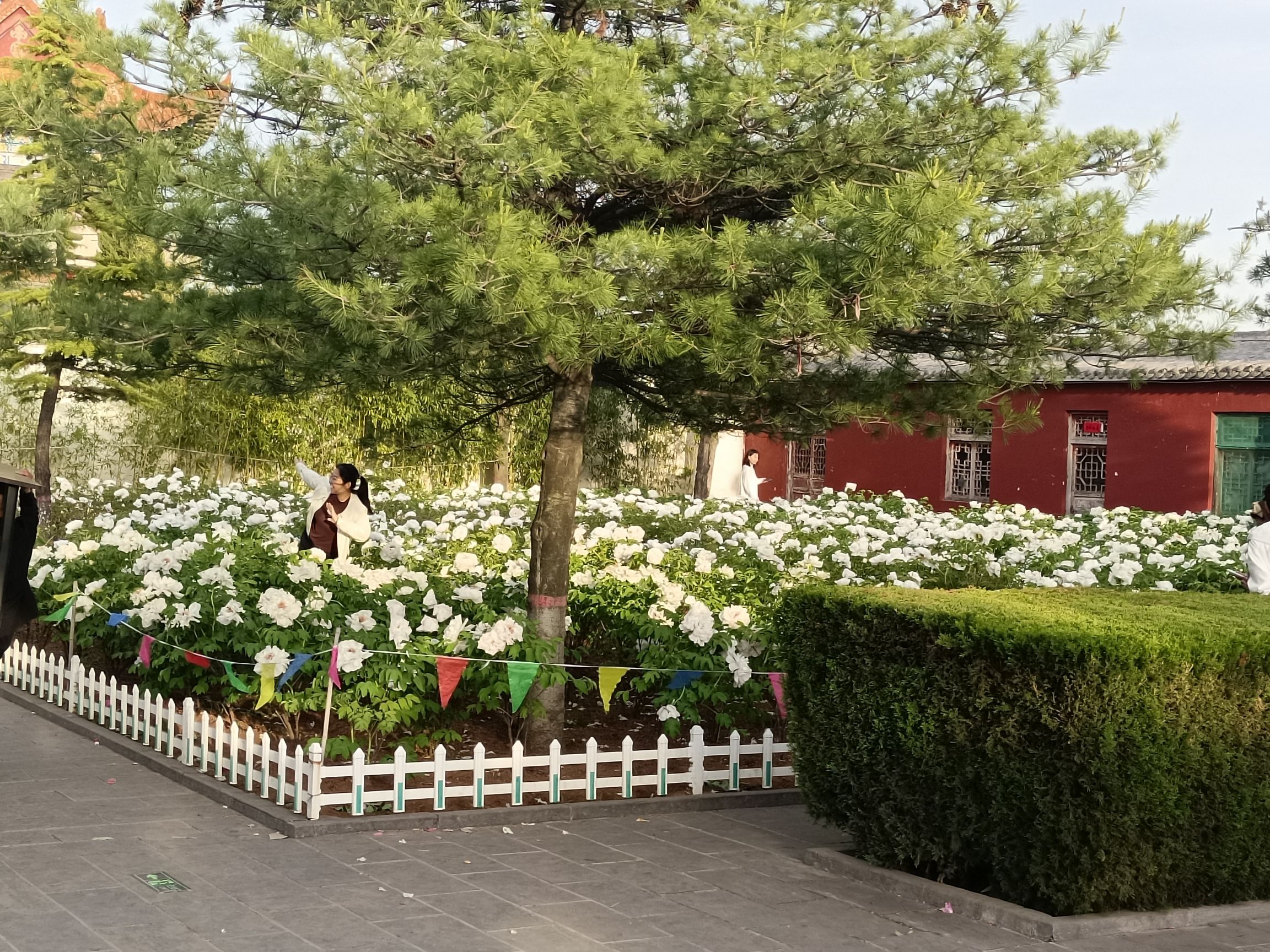 海子河公园旅行图片 3