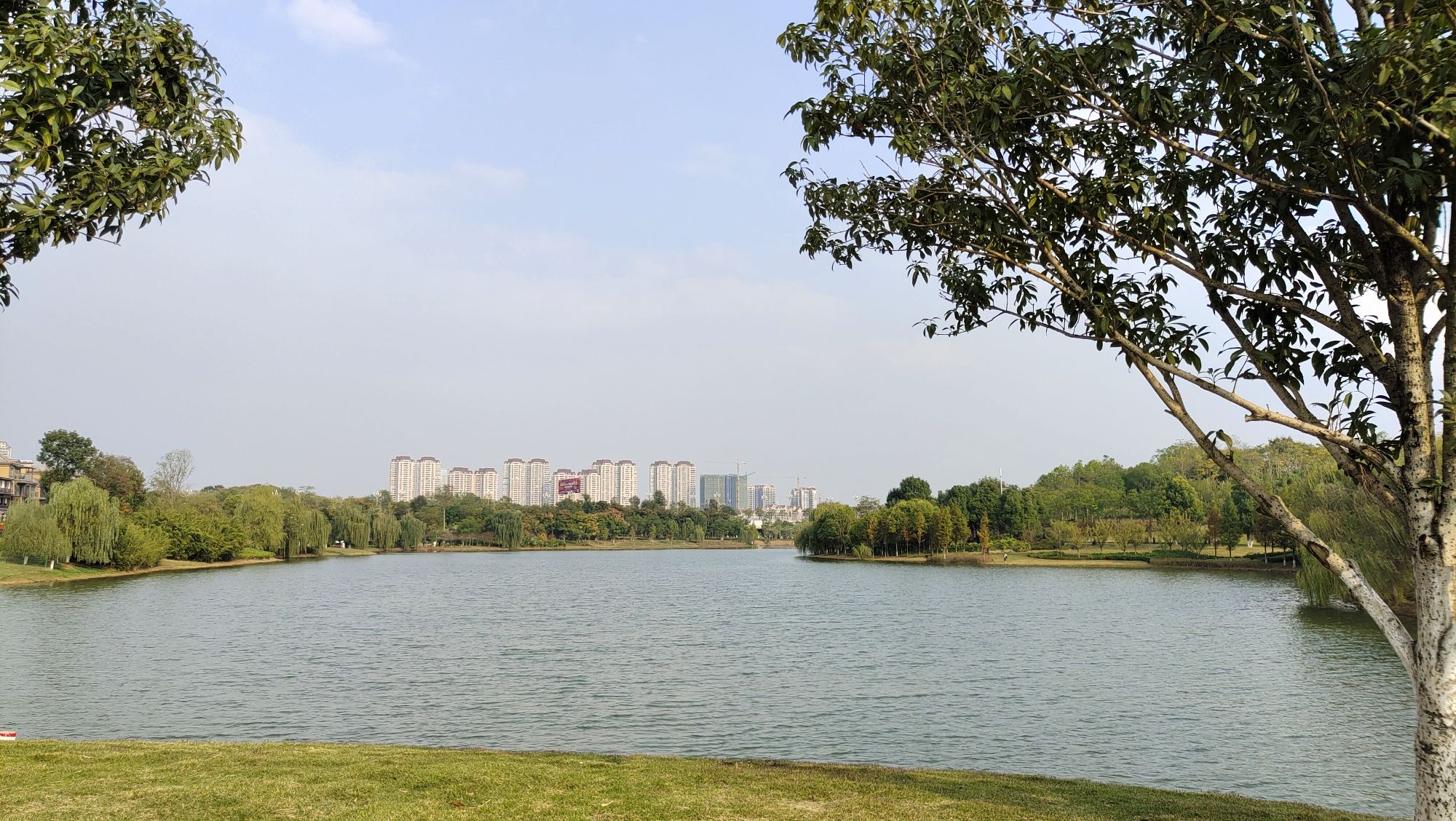仁寿城市湿地公园旅行图片 2