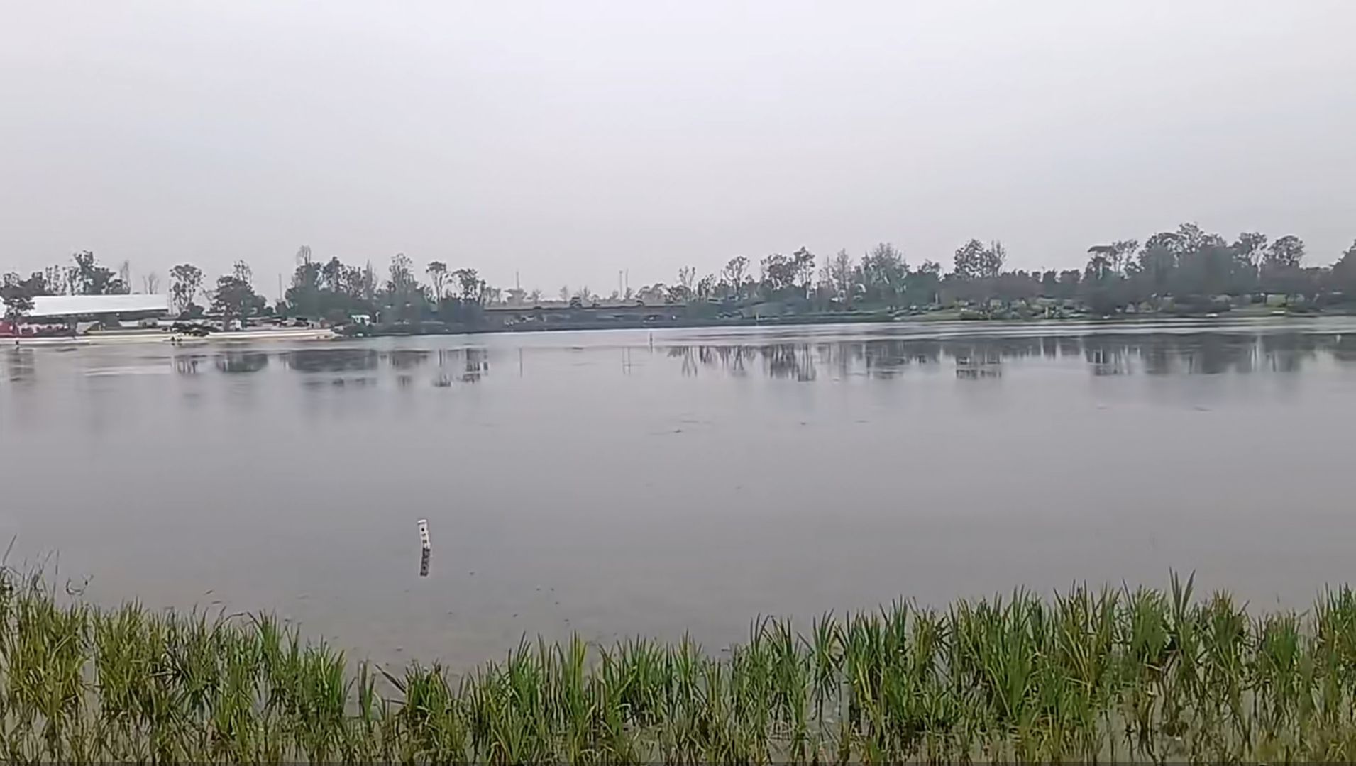仁寿城市湿地公园旅行图片 1