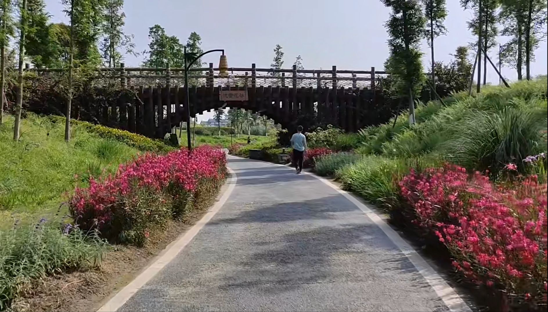 仁寿城市湿地公园旅行图片 2