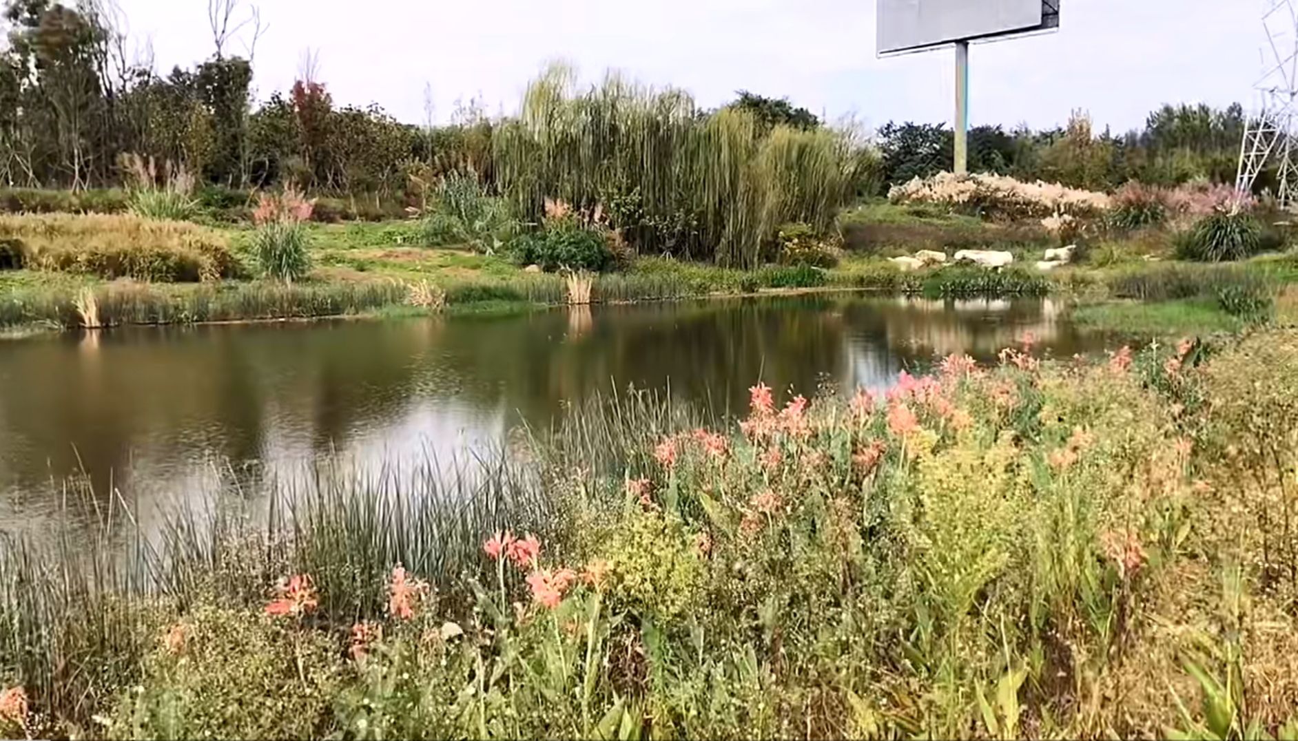 仁寿城市湿地公园旅行图片 3