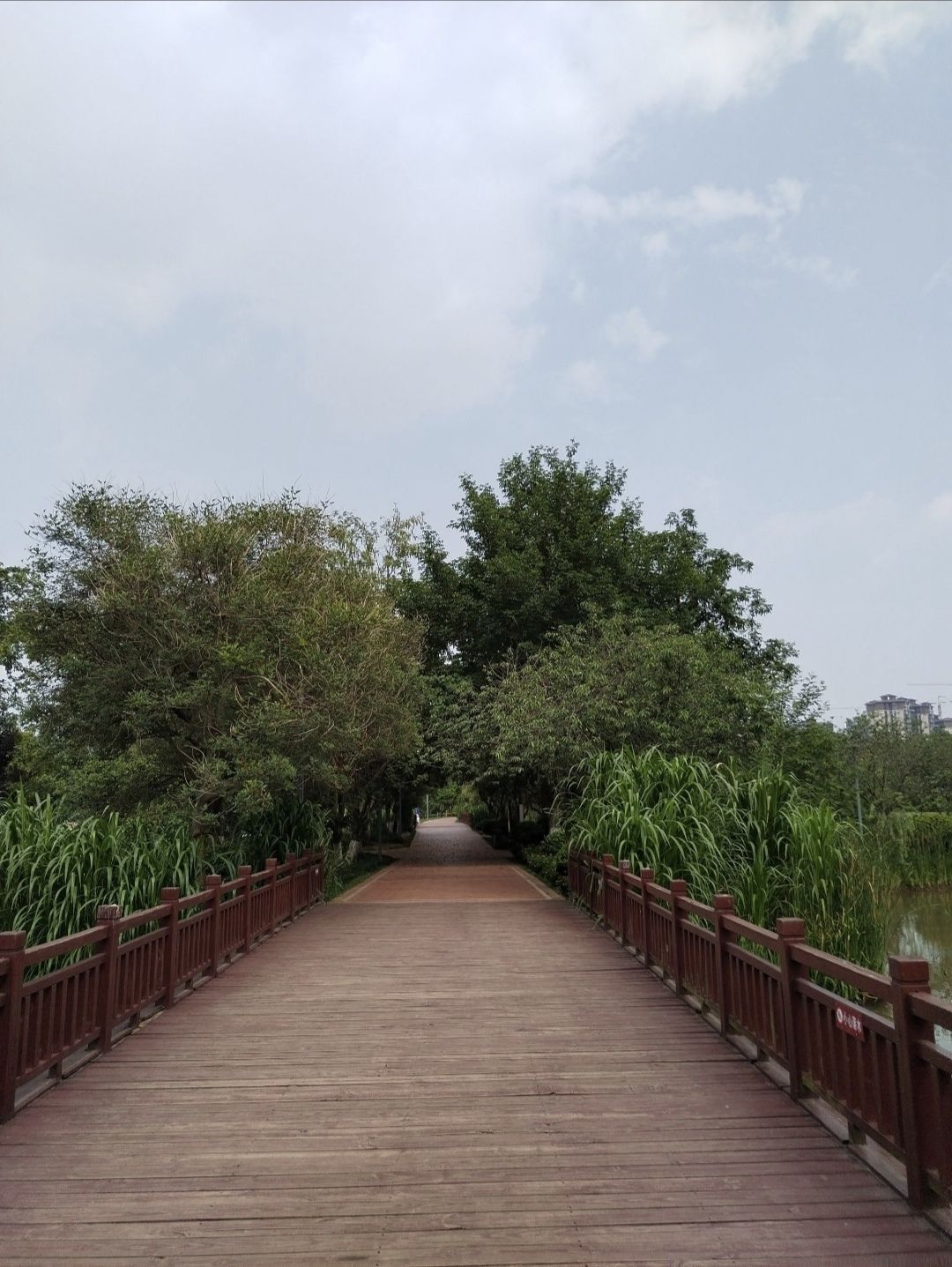 仁寿城市湿地公园旅行图片 3