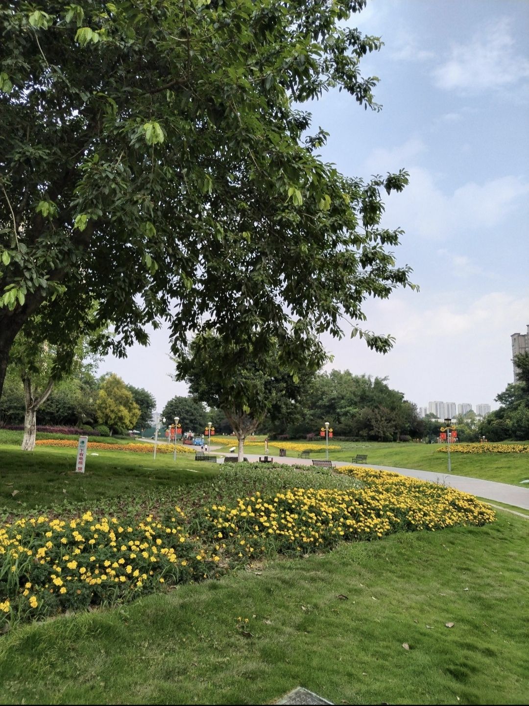 仁寿城市湿地公园旅行图片 2