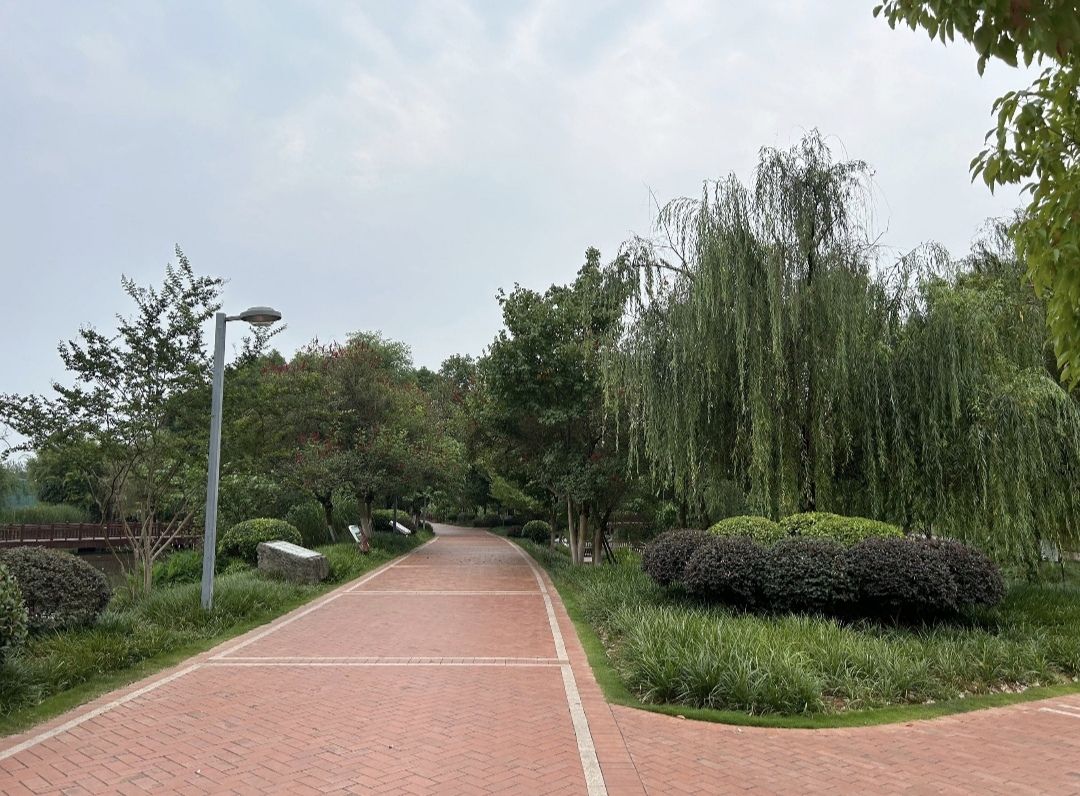 仁寿城市湿地公园旅行图片 1