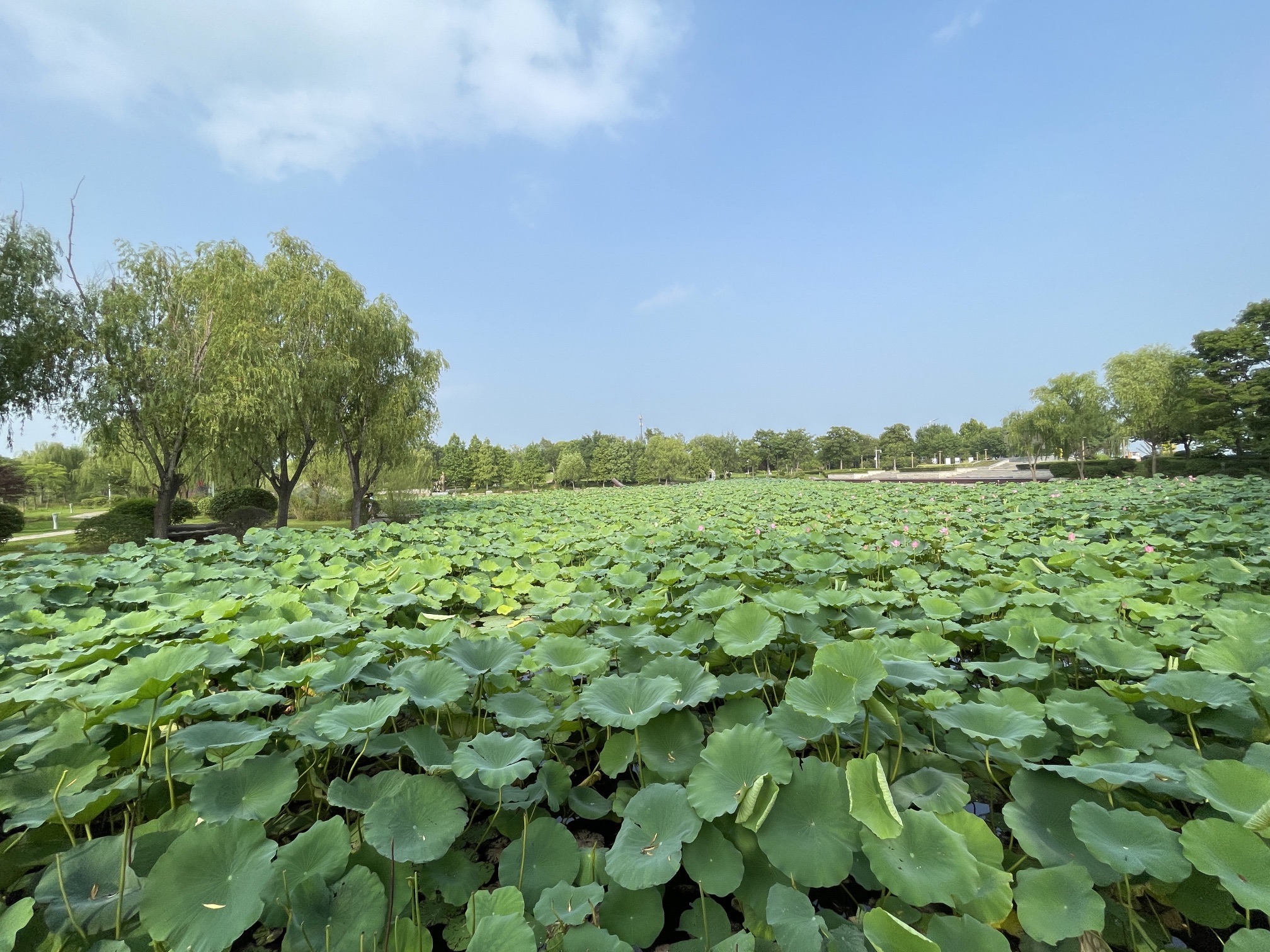 太白湖旅游景区-小北湖公园