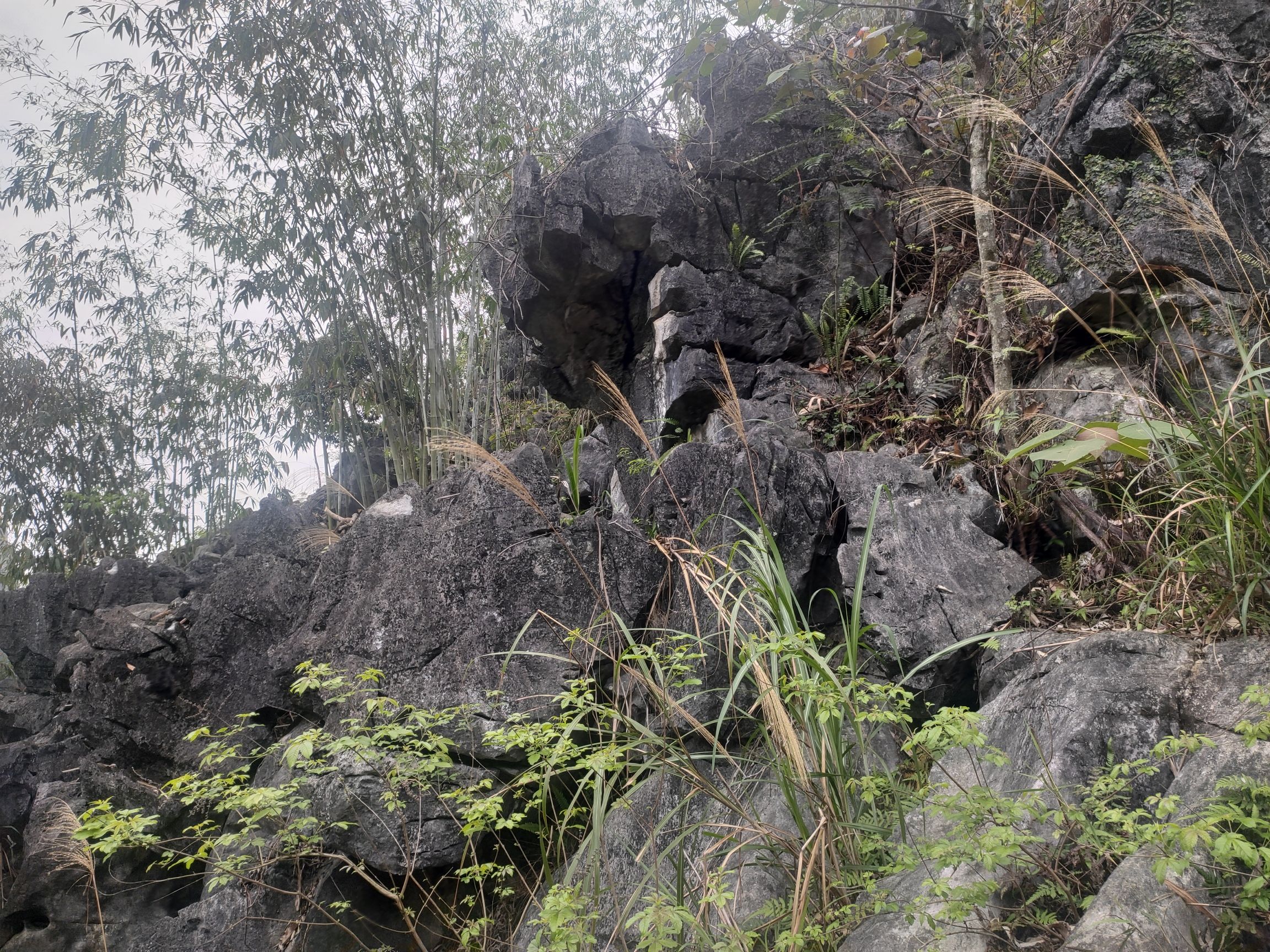 密洛陀文化公园旅行图片 1