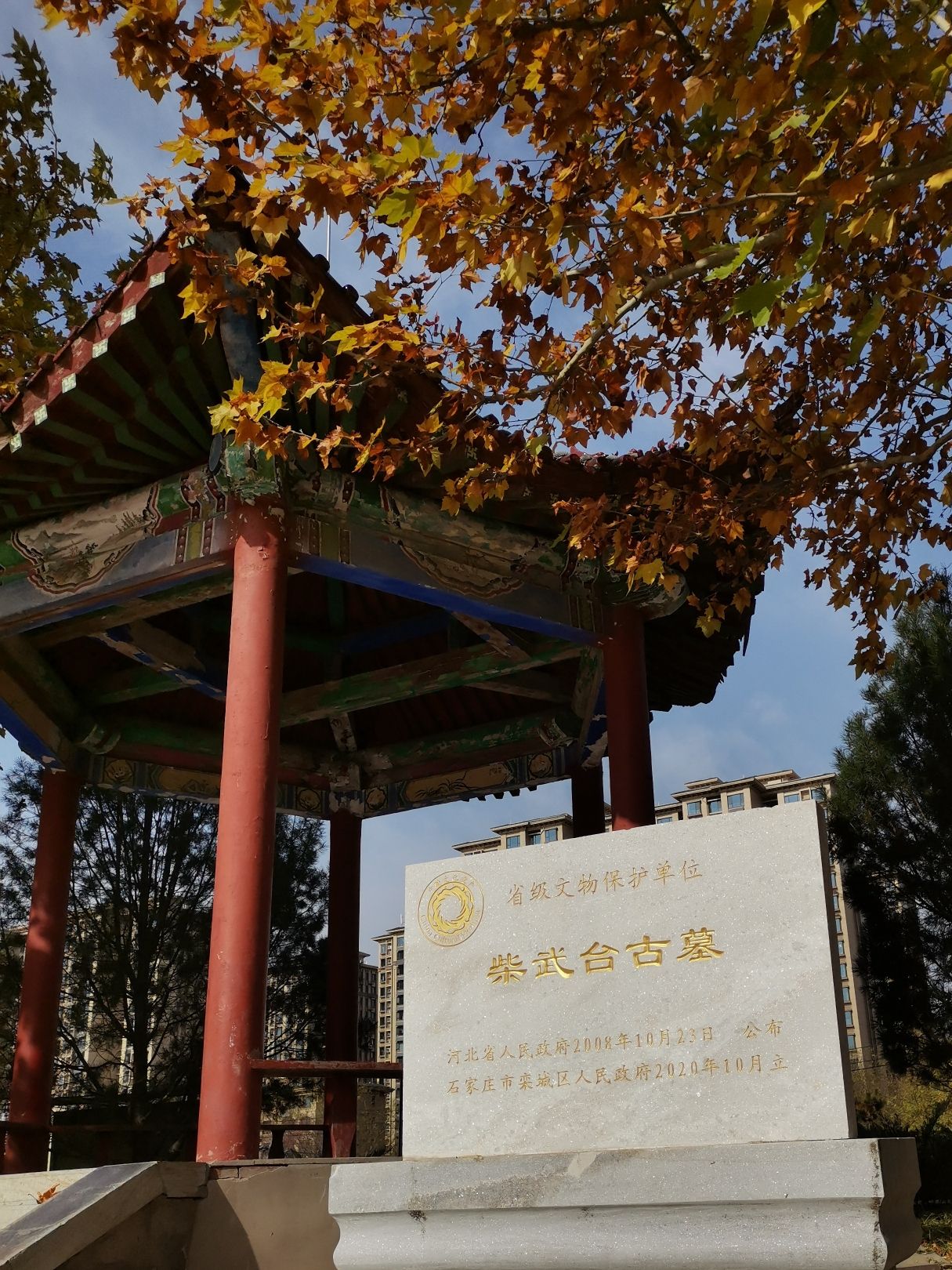 栾城柴武台公园旅行图片 3