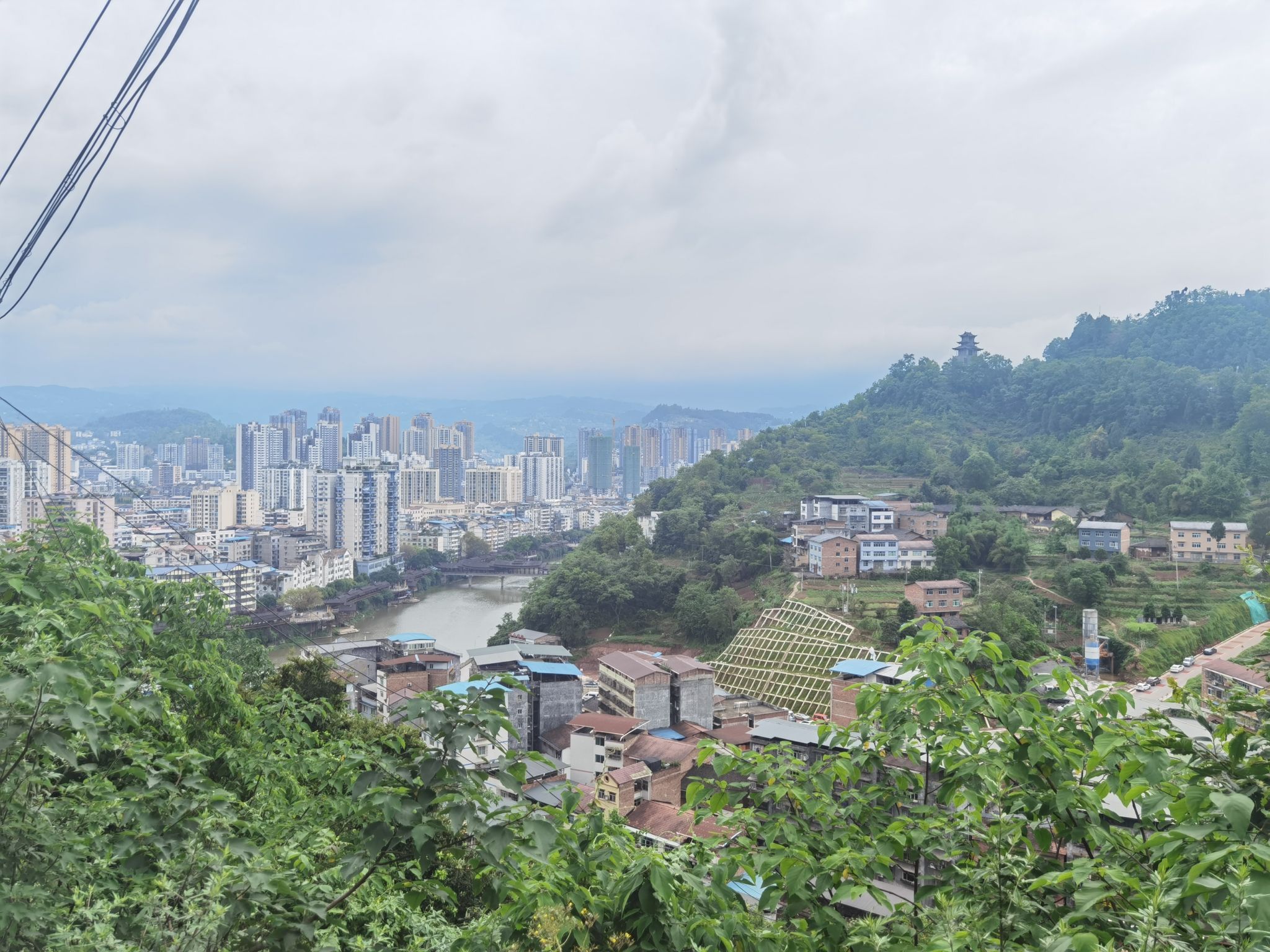 旗山公园旅行图片 1