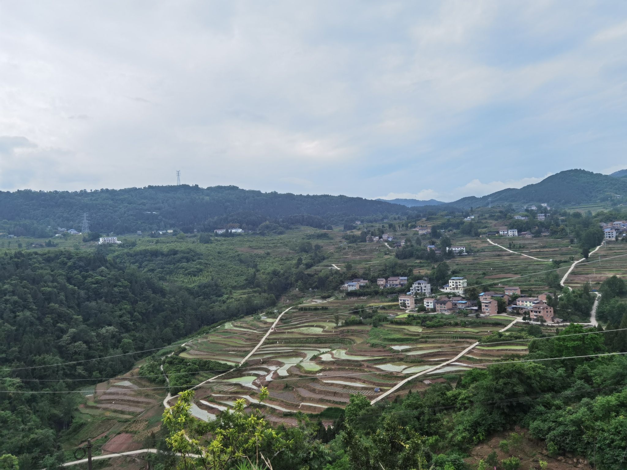 旗山公园旅行图片 2