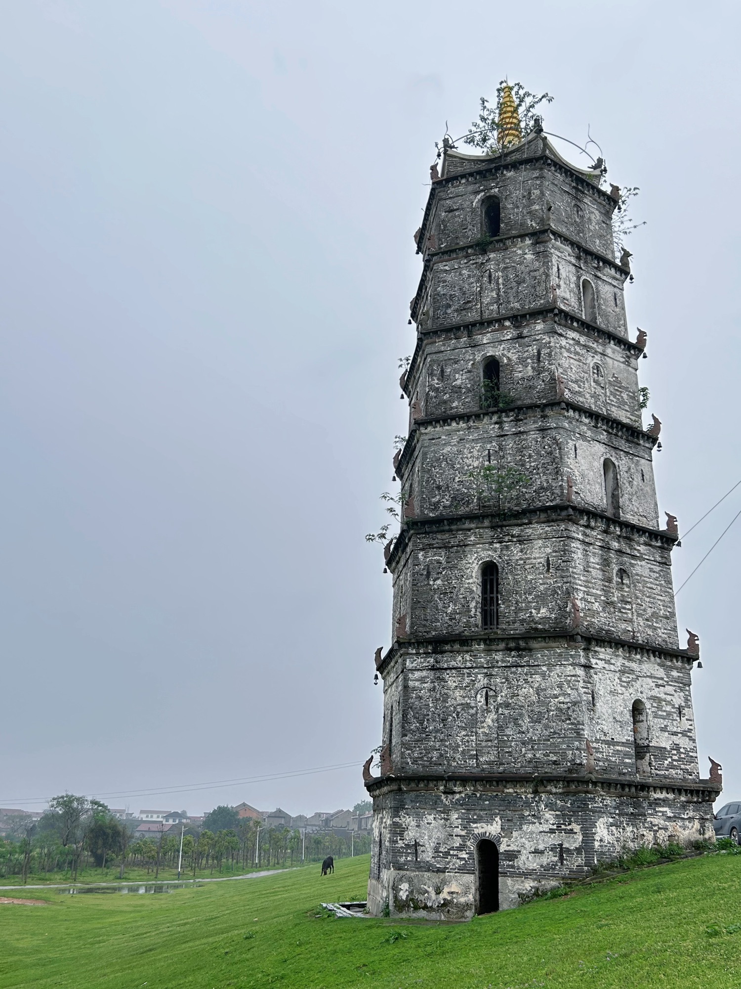 永镇塔旅行图片 1