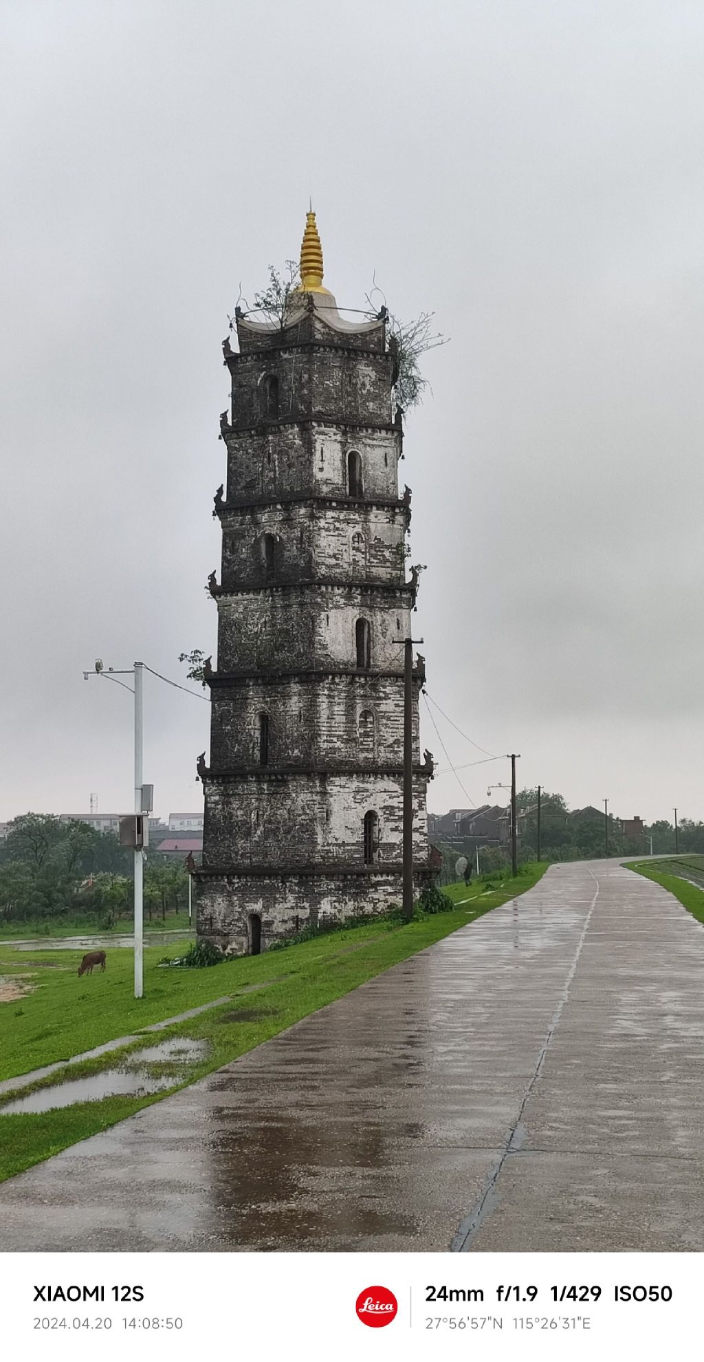 永镇塔旅行图片 1