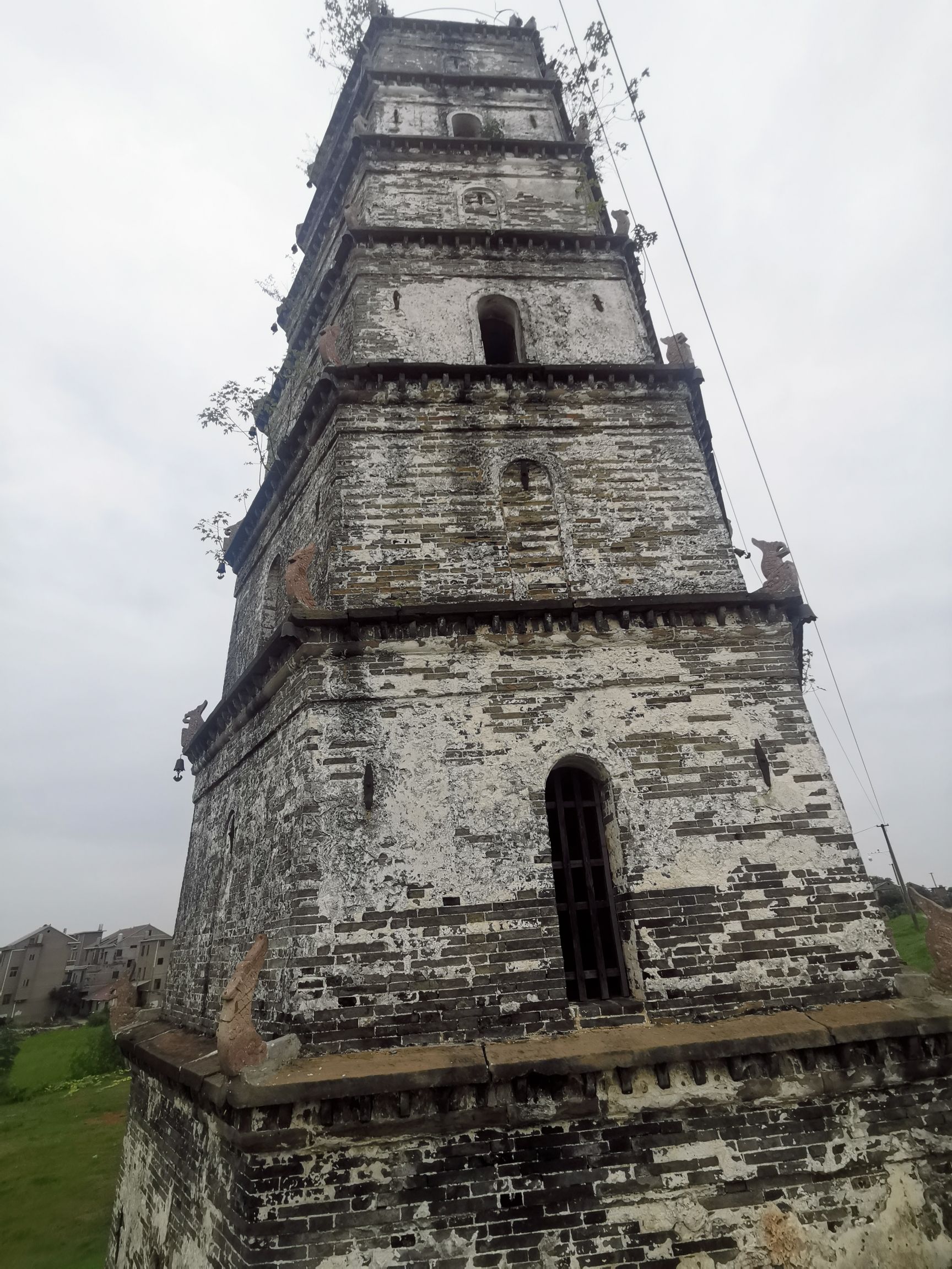 永镇塔旅行图片 1