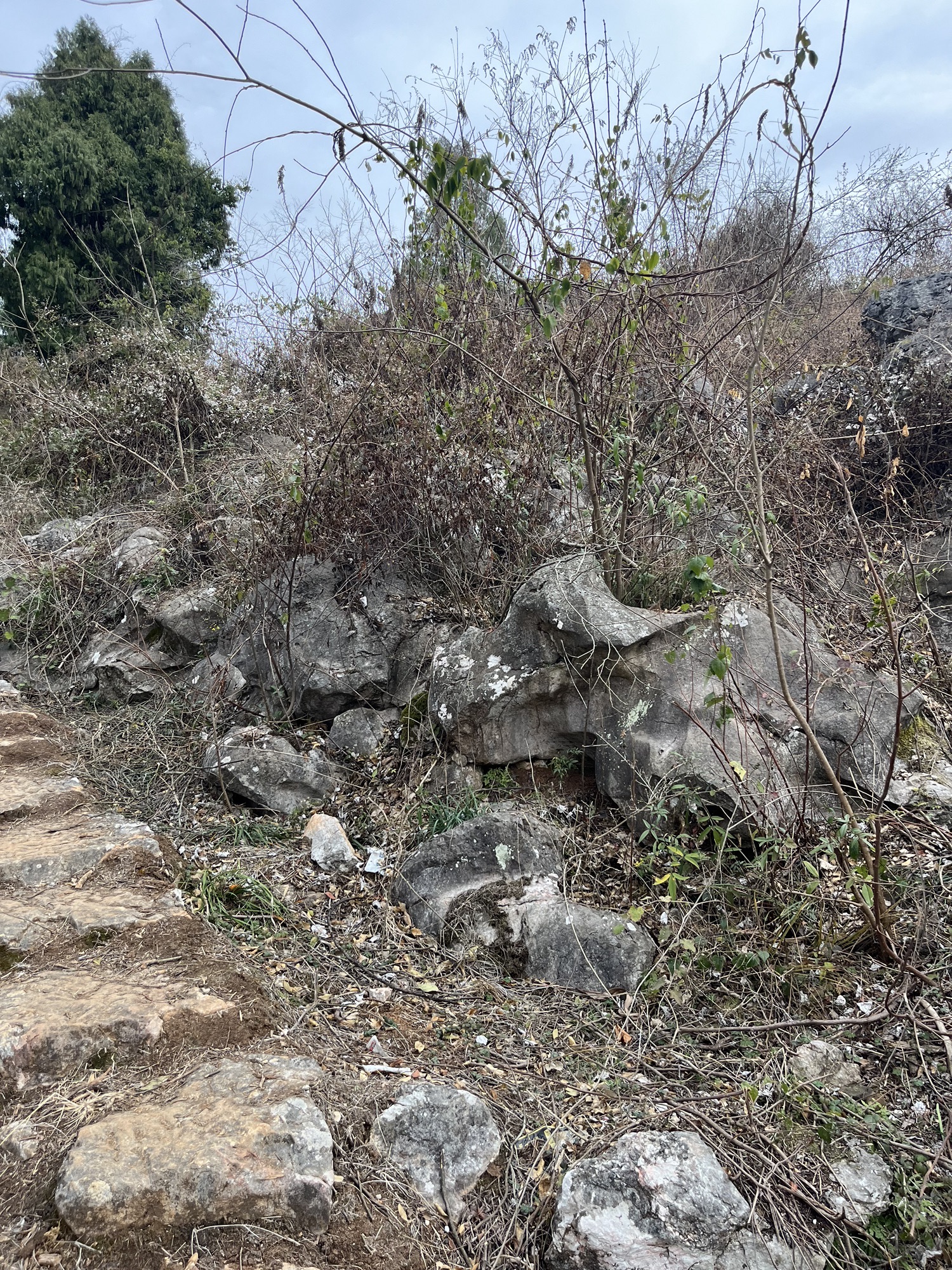 南国武当山旅行图片 1