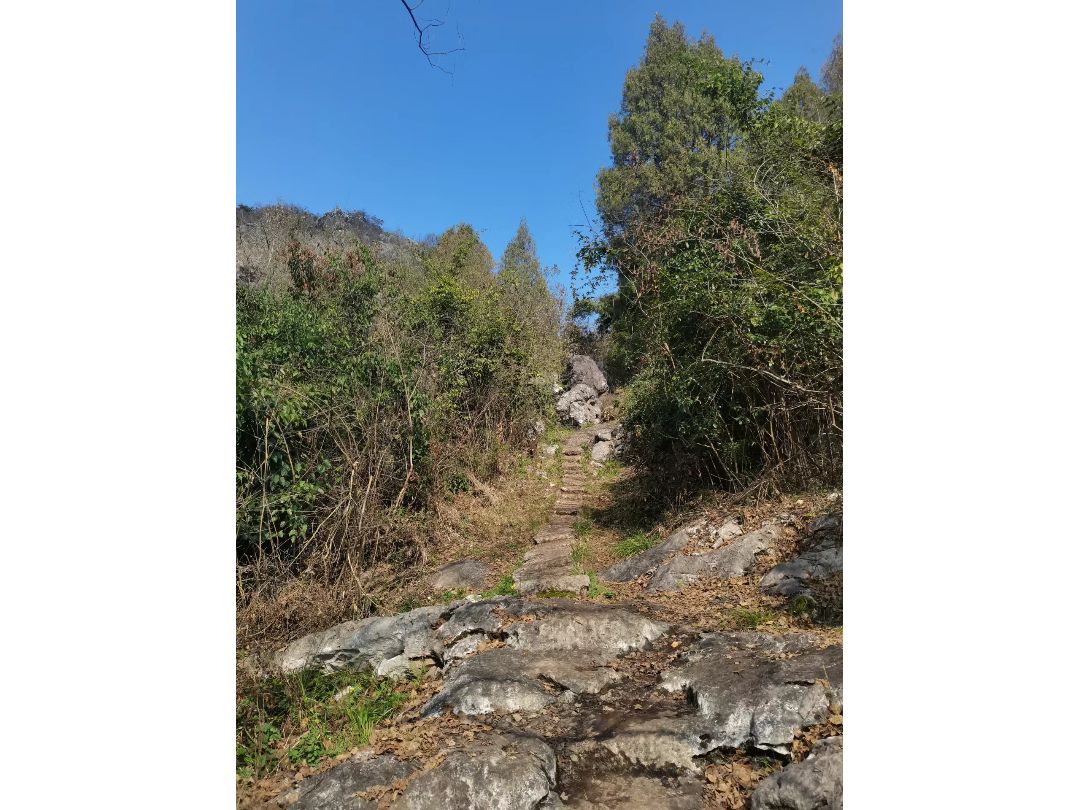 南国武当山旅行图片 2