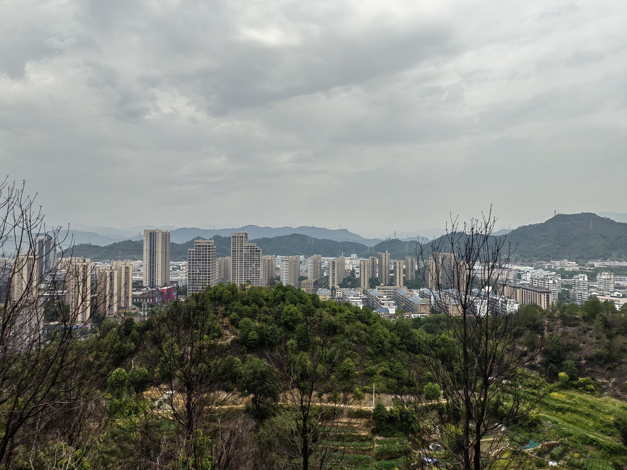 东公园旅行图片 3