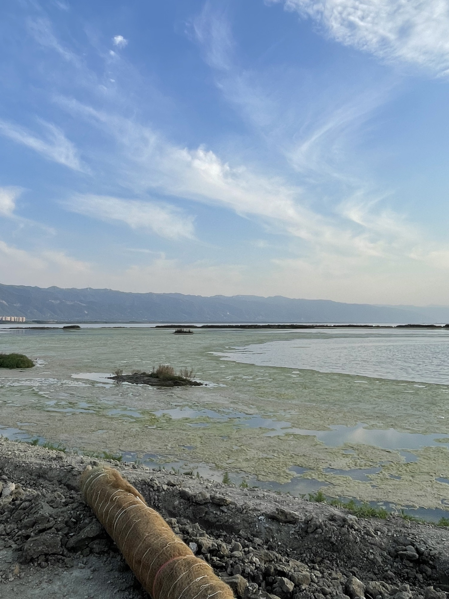 盐湖园旅行图片 2