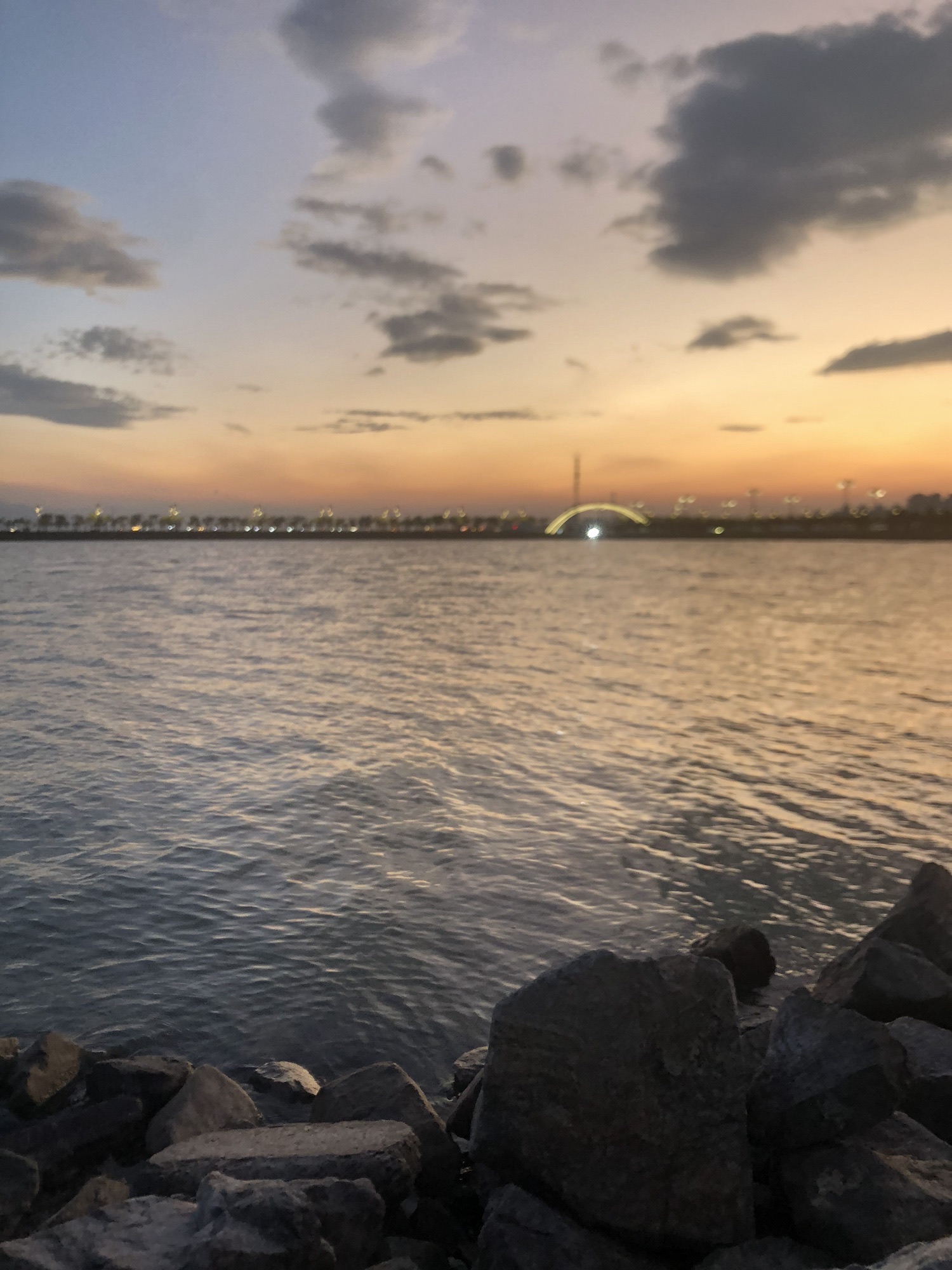盐湖园旅行图片 3