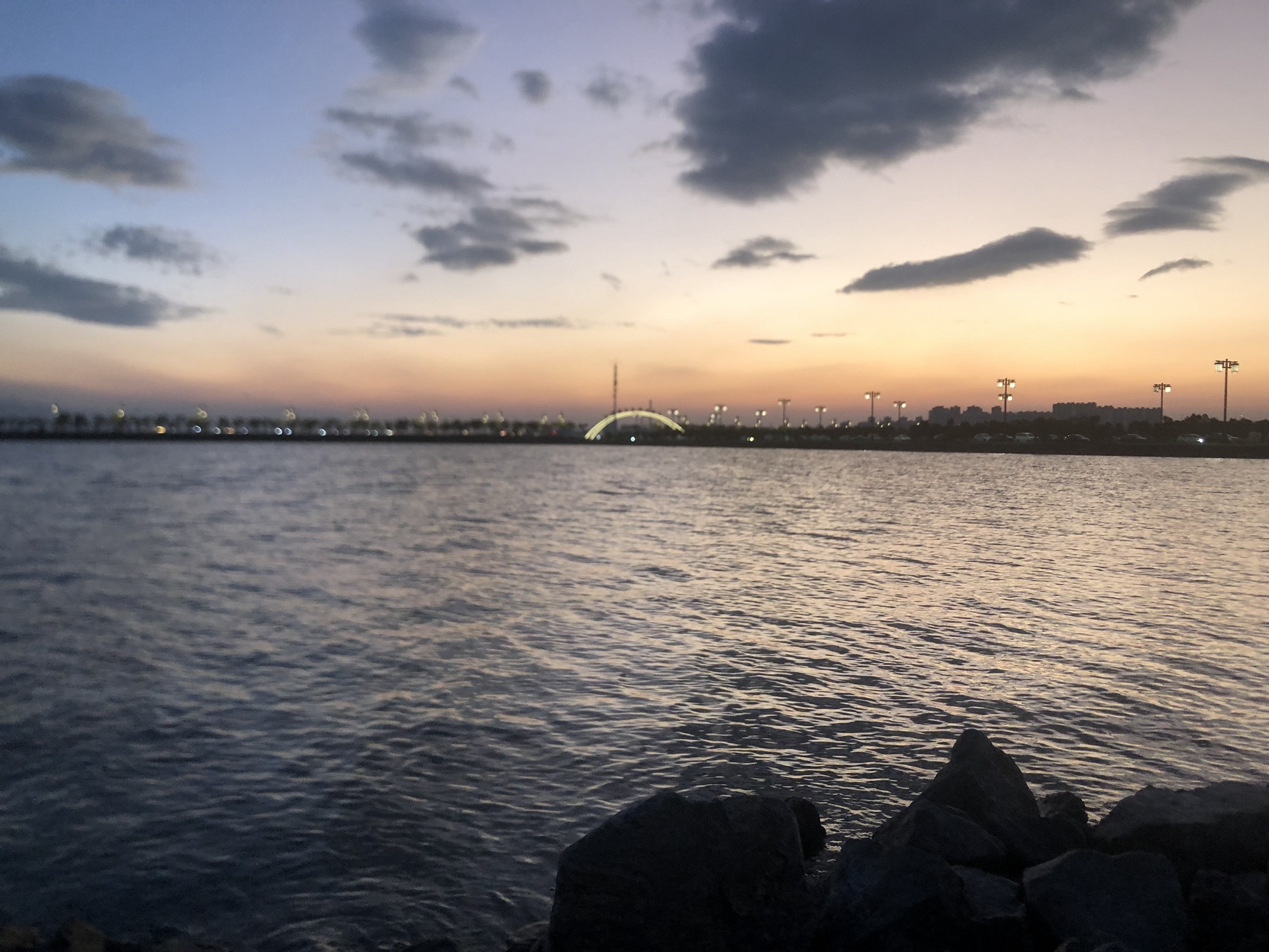 盐湖园旅行图片 1