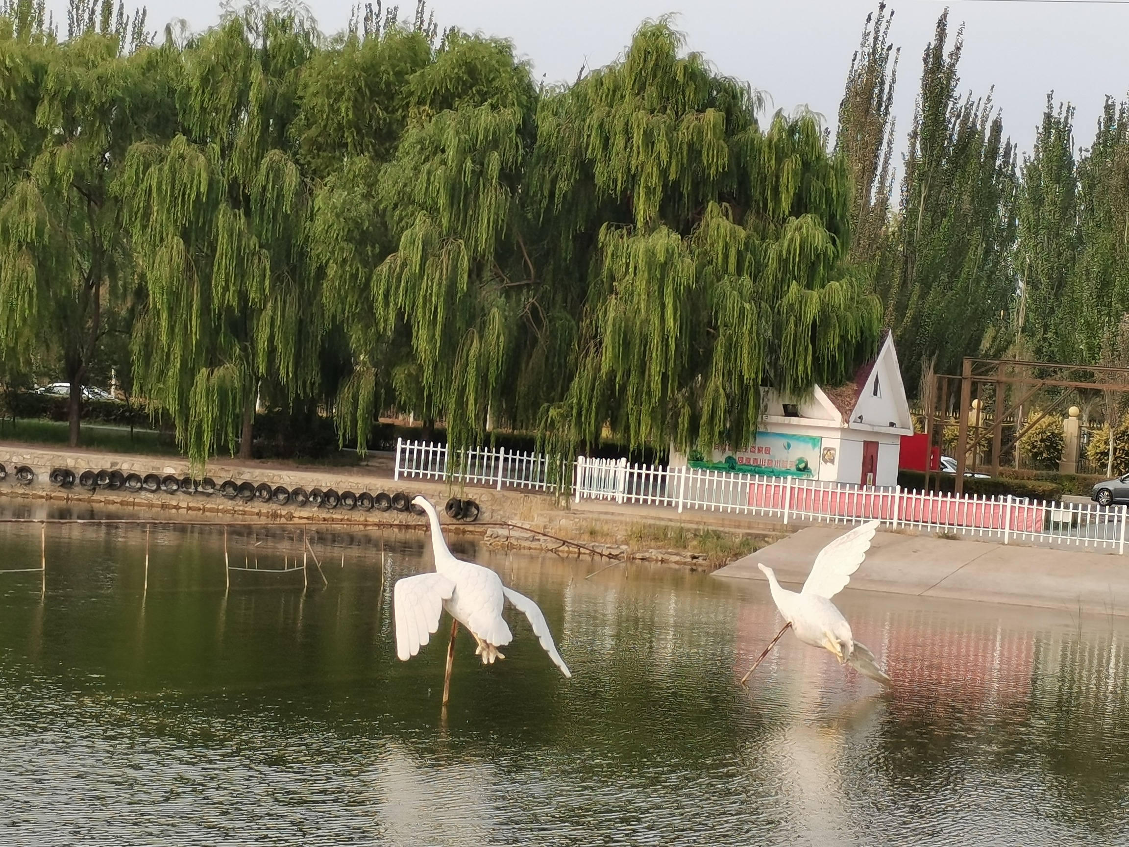 太阳湖旅行图片 3