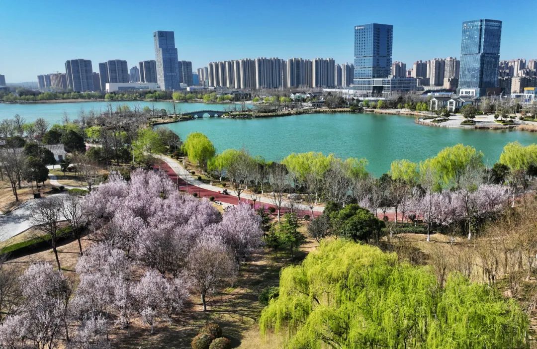 商丘日月湖景区