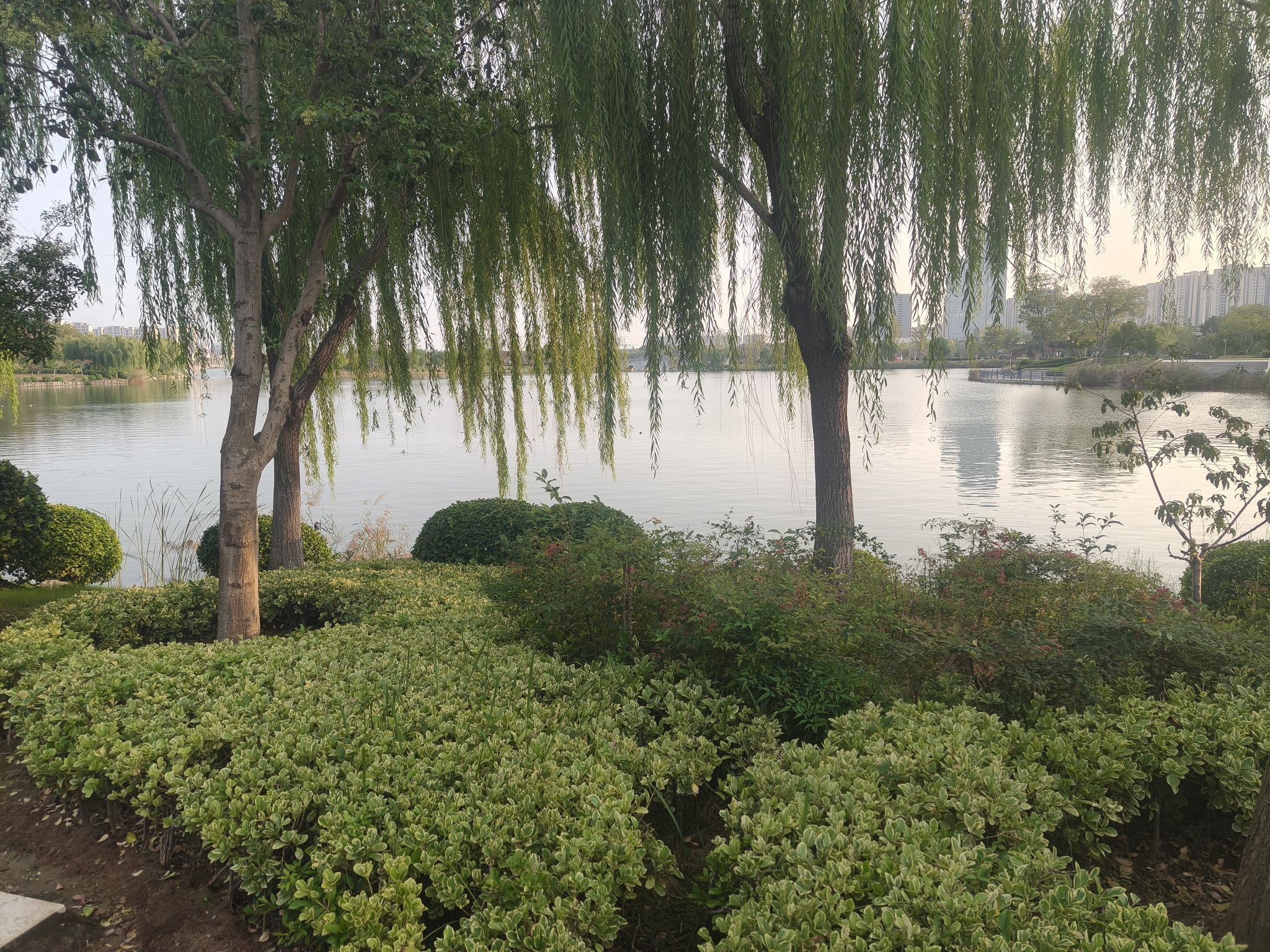 商丘日月湖景区旅行图片 3