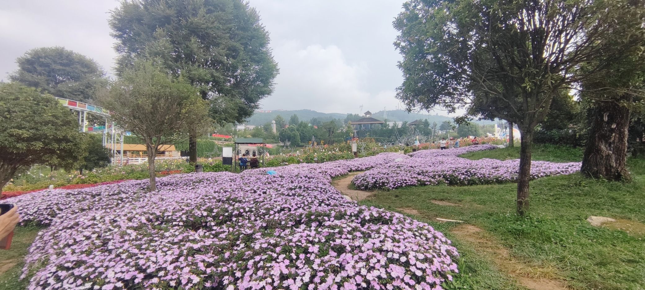 凉都花海温泉旅游度假区旅行图片 1