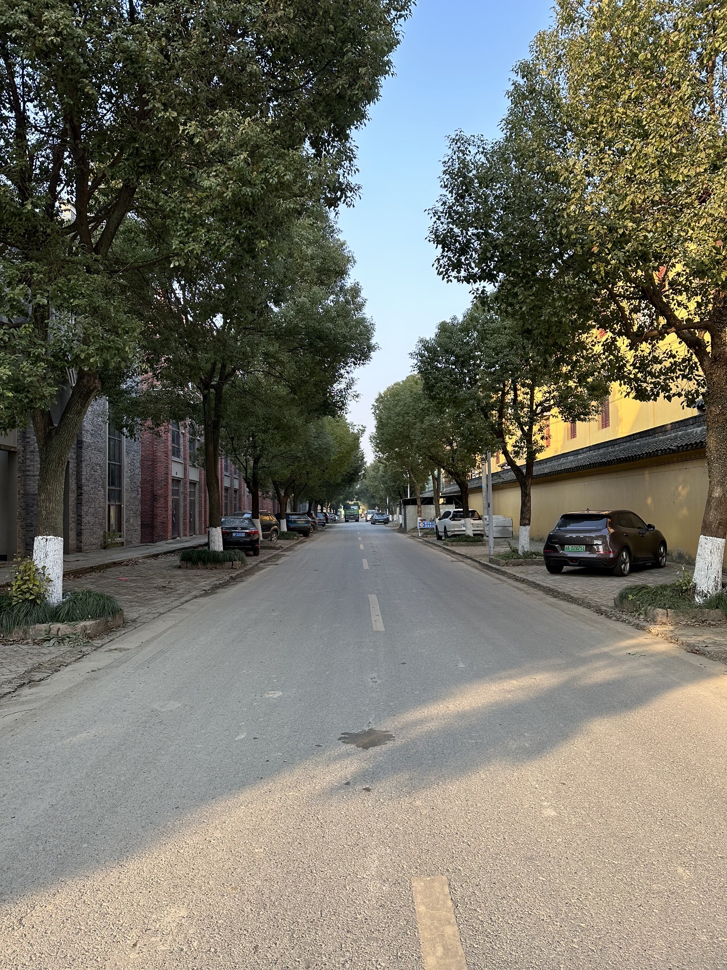 路仲古镇旅行图片 3