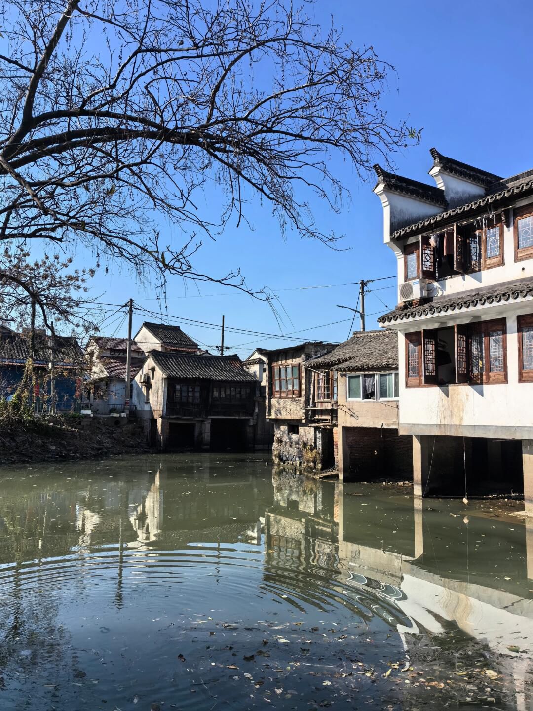 路仲古镇旅行图片 1