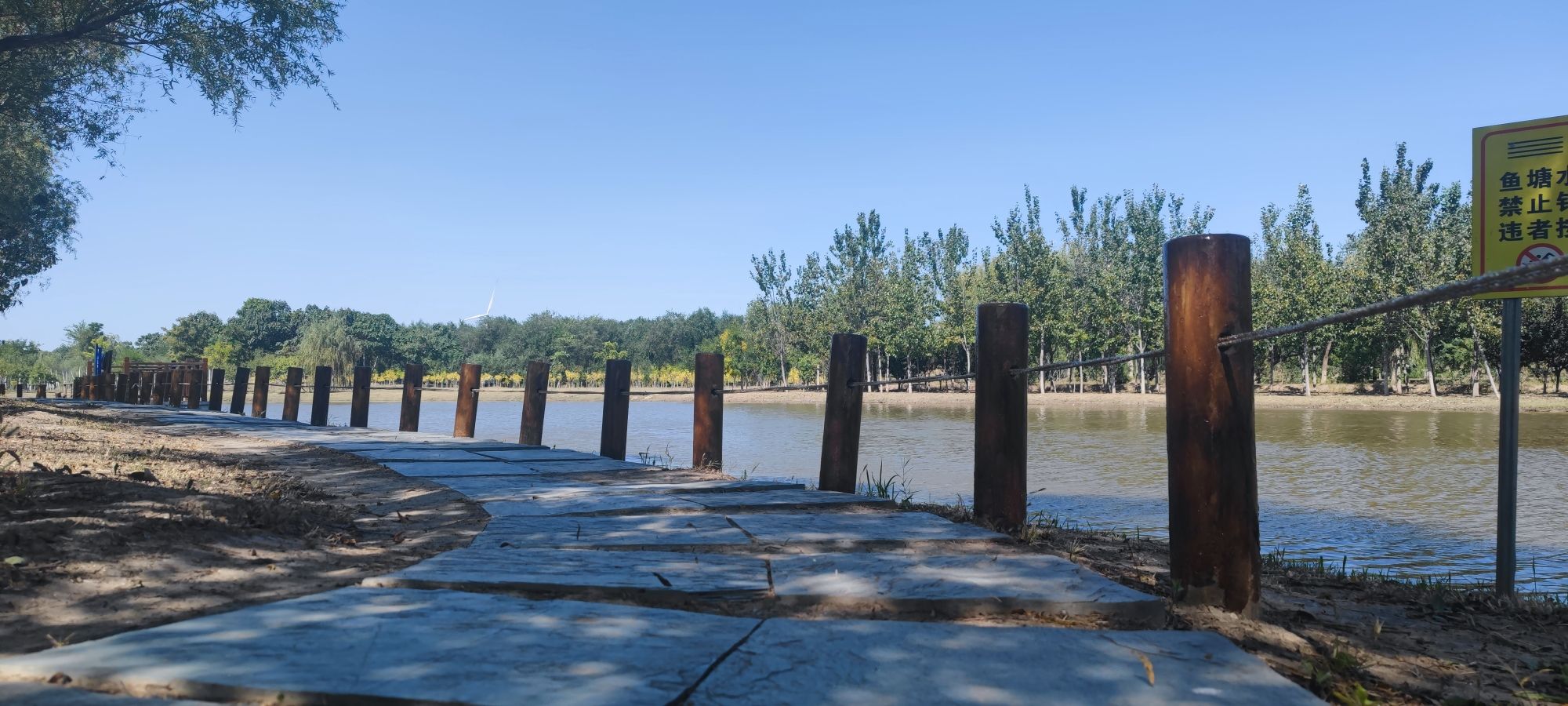 东丽郊野公园旅行图片 3