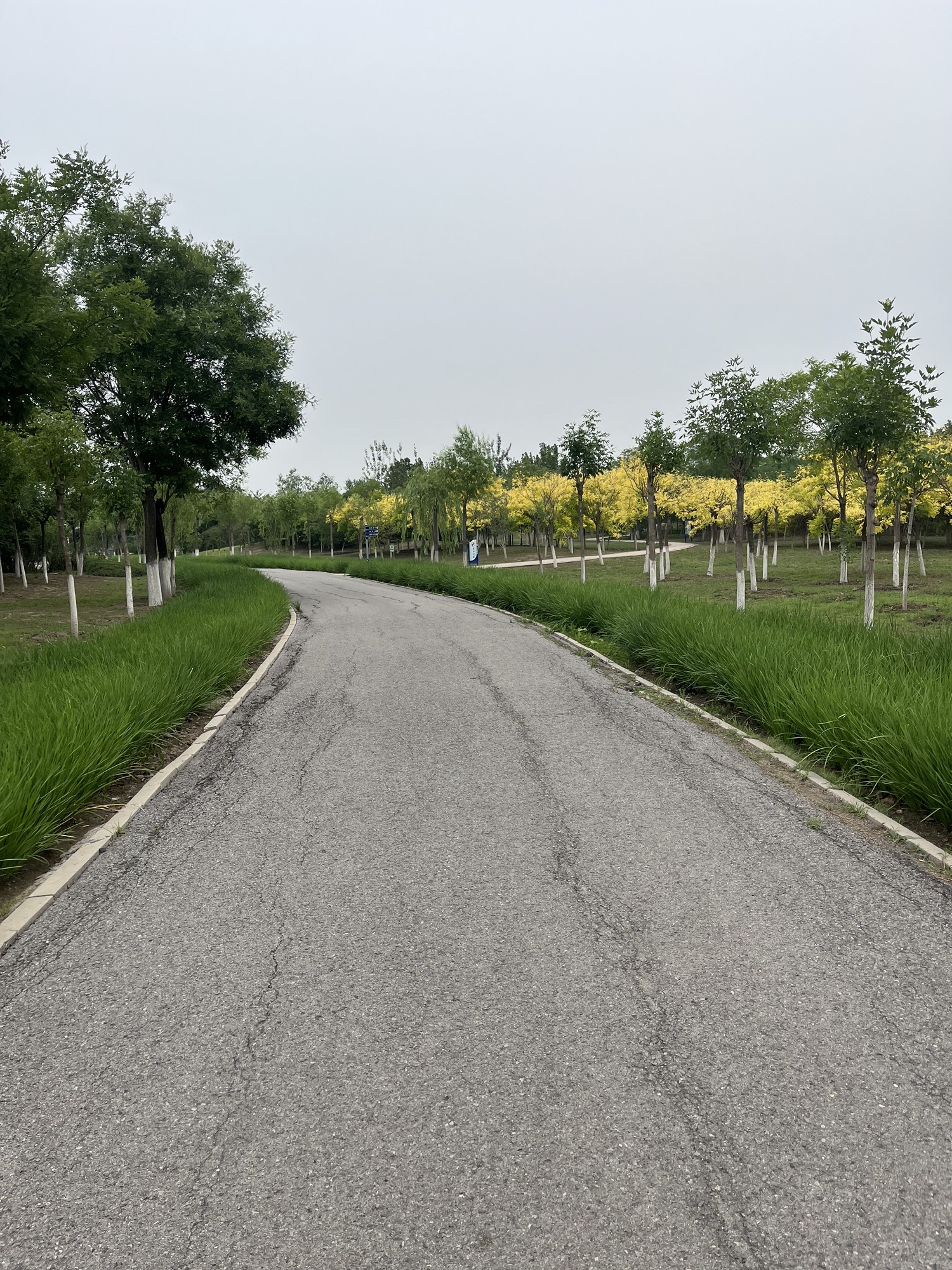 东丽郊野公园旅行图片 2